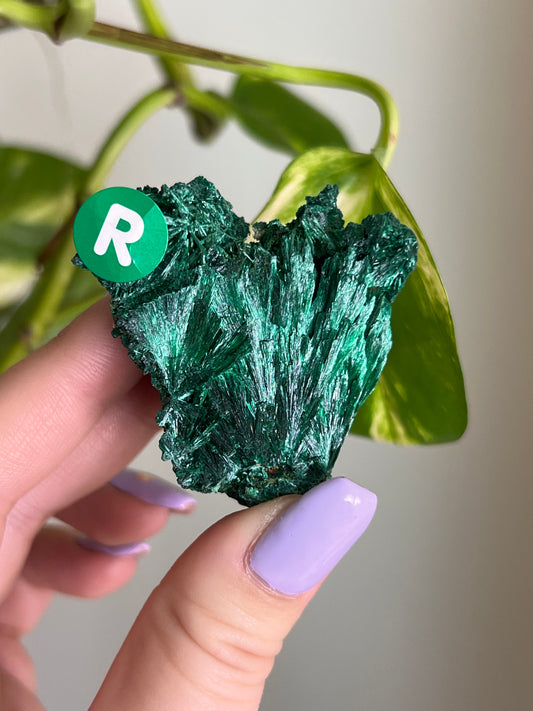Fibrous Malachite - R