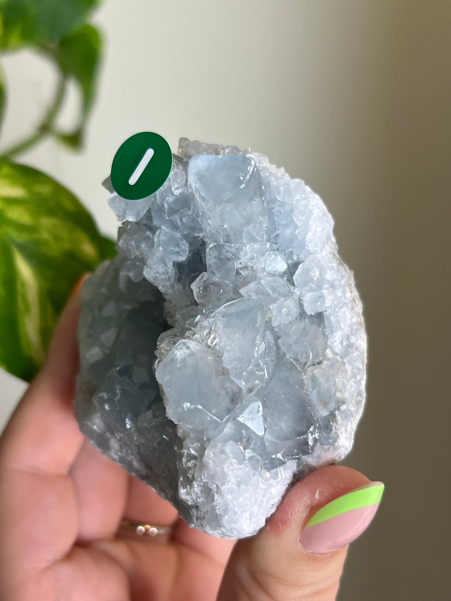Celestite Cluster - I 🌊