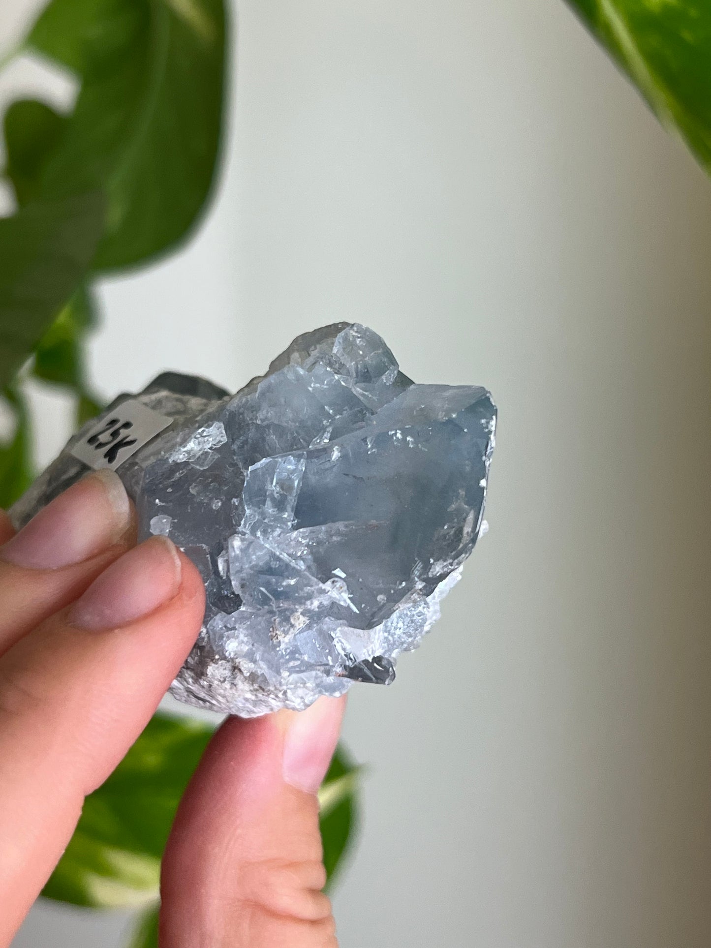 Celestite Cluster Small - K
