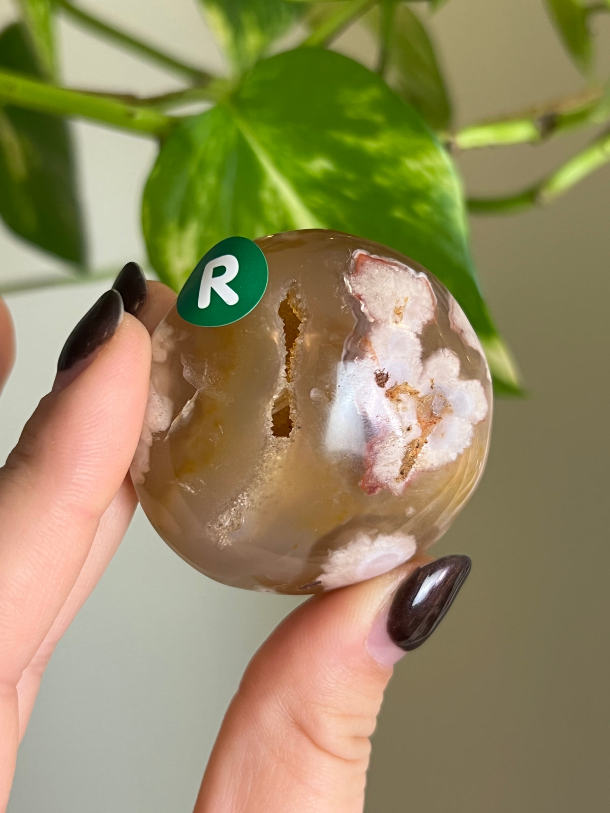 Druzy Flower Agate Palm Stone - R