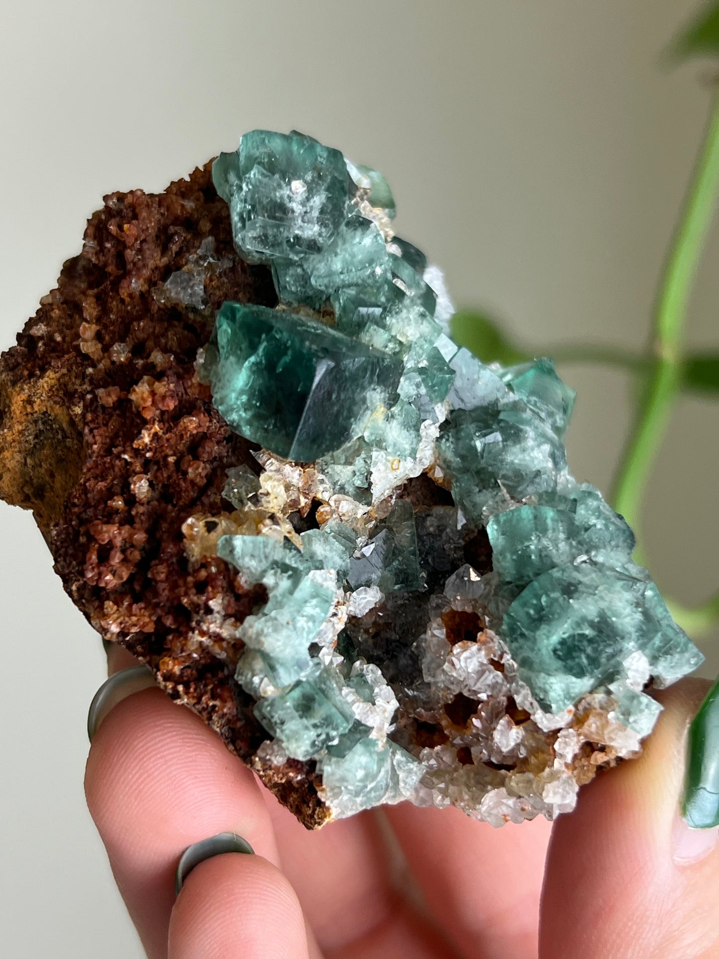 Cubic Sugar Druzy Fluorite - England