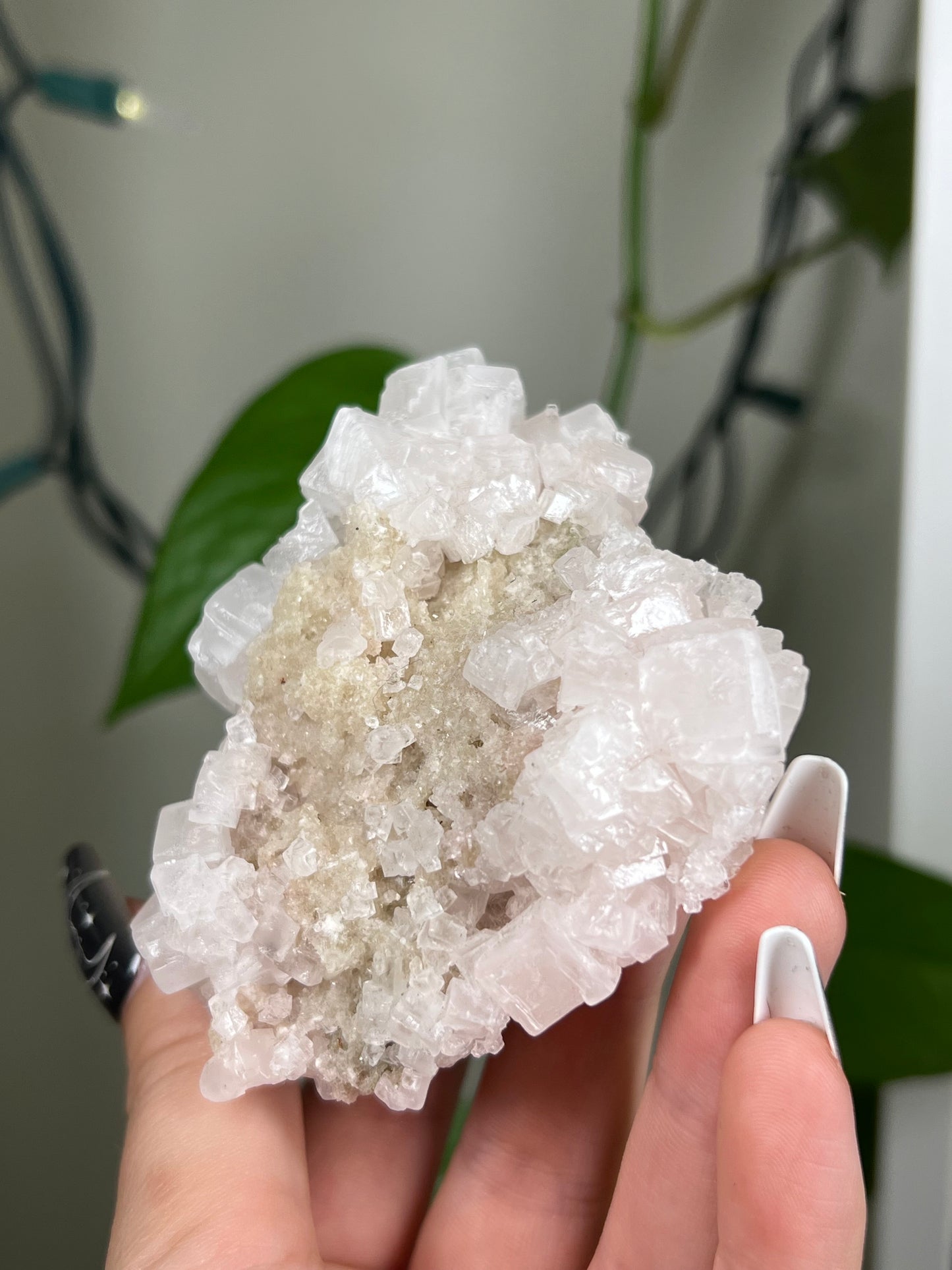 Pastel Pink Halite Cluster - Rare