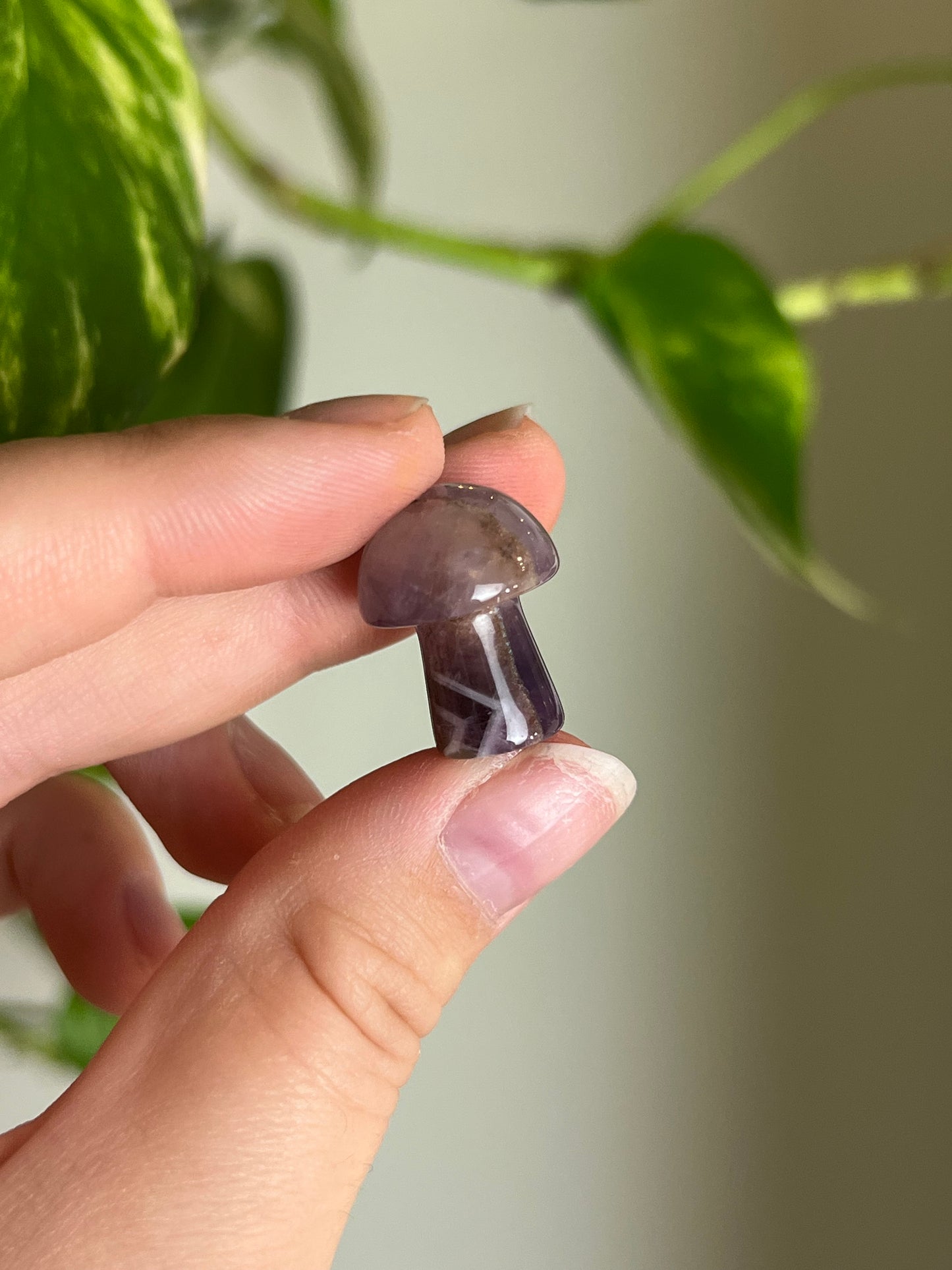 Amethyst Mini Mushie