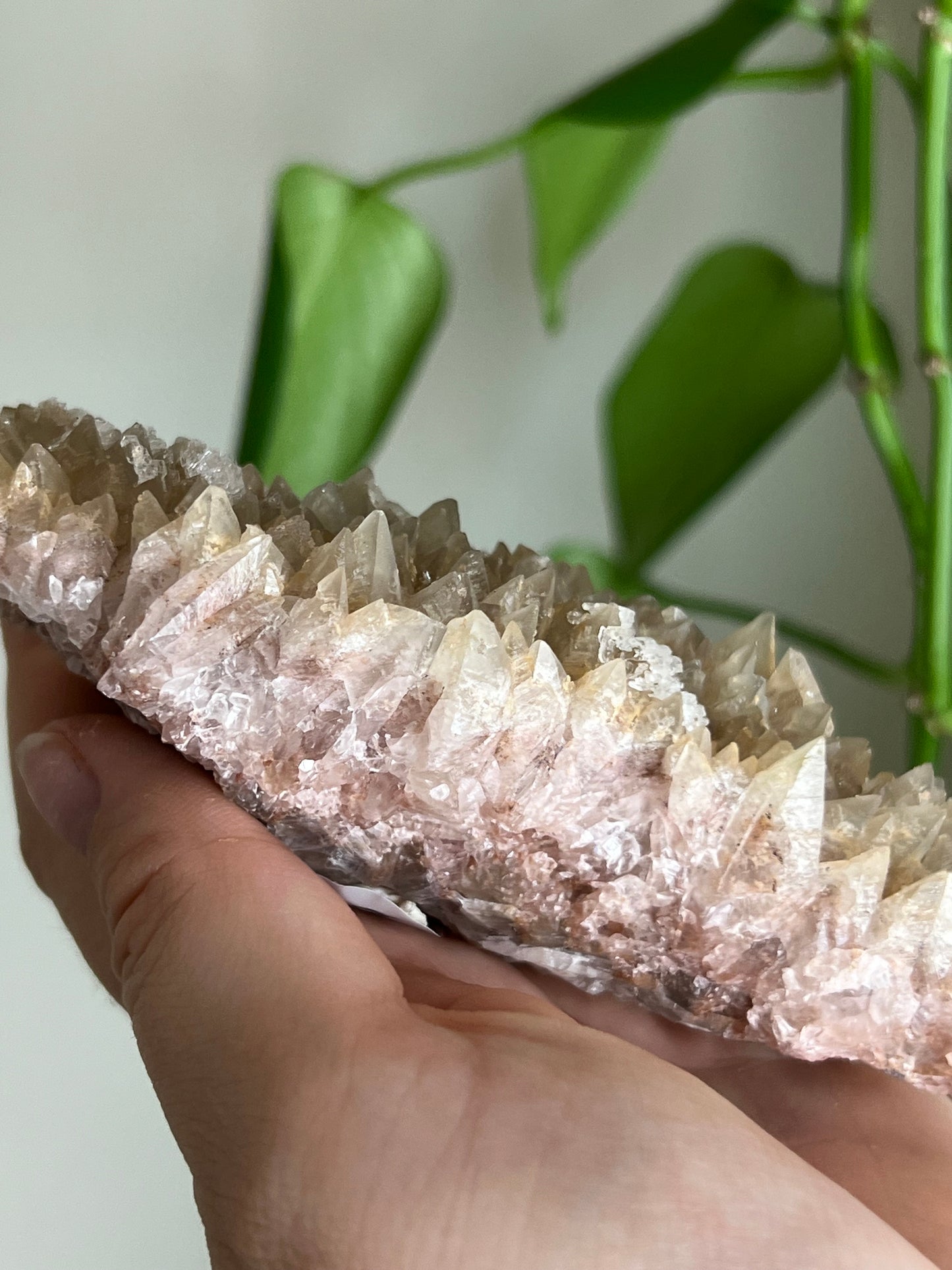 Selenite and Calcite Cluster