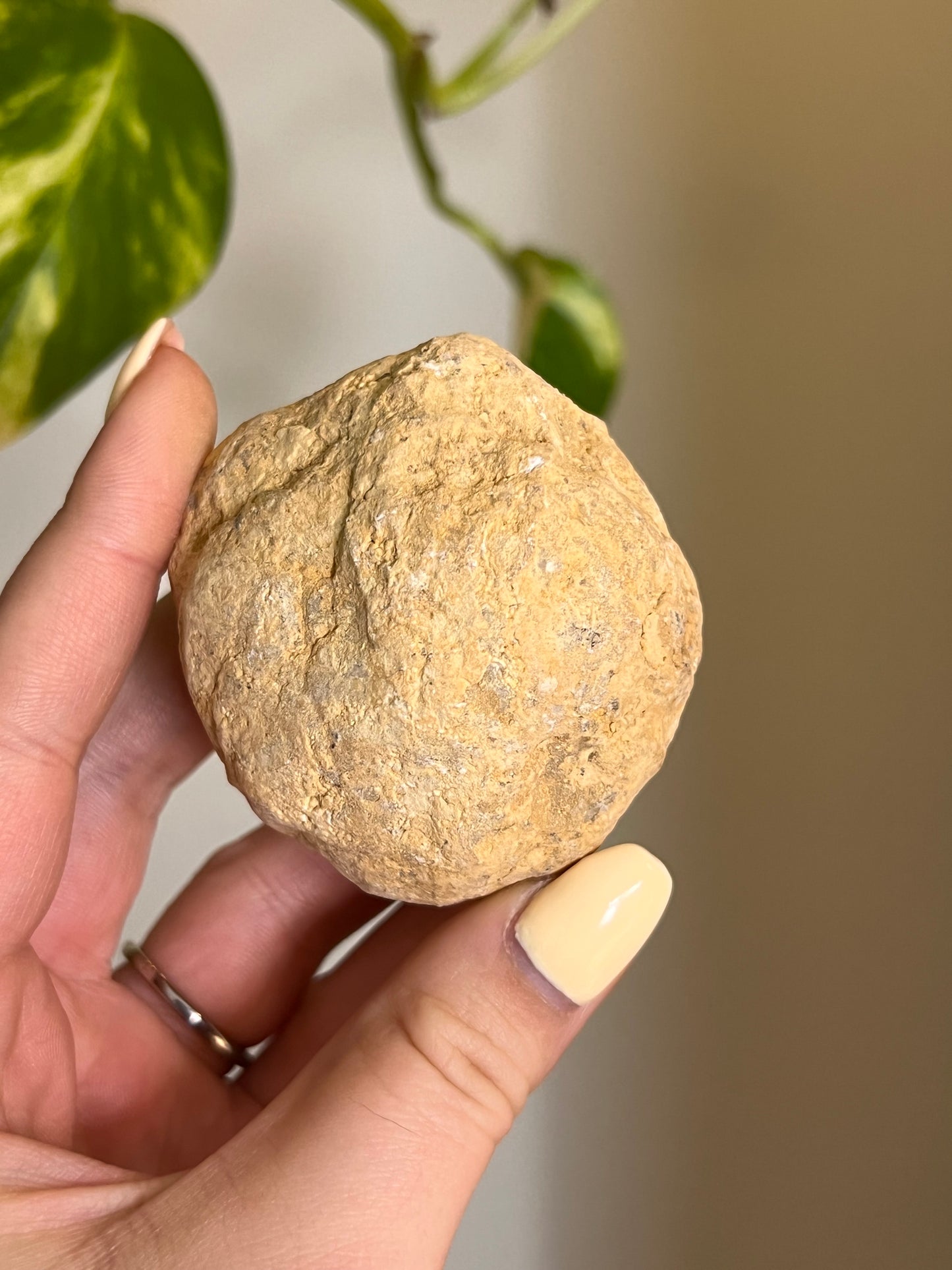 Break Your Own Quartz Geode - Medium