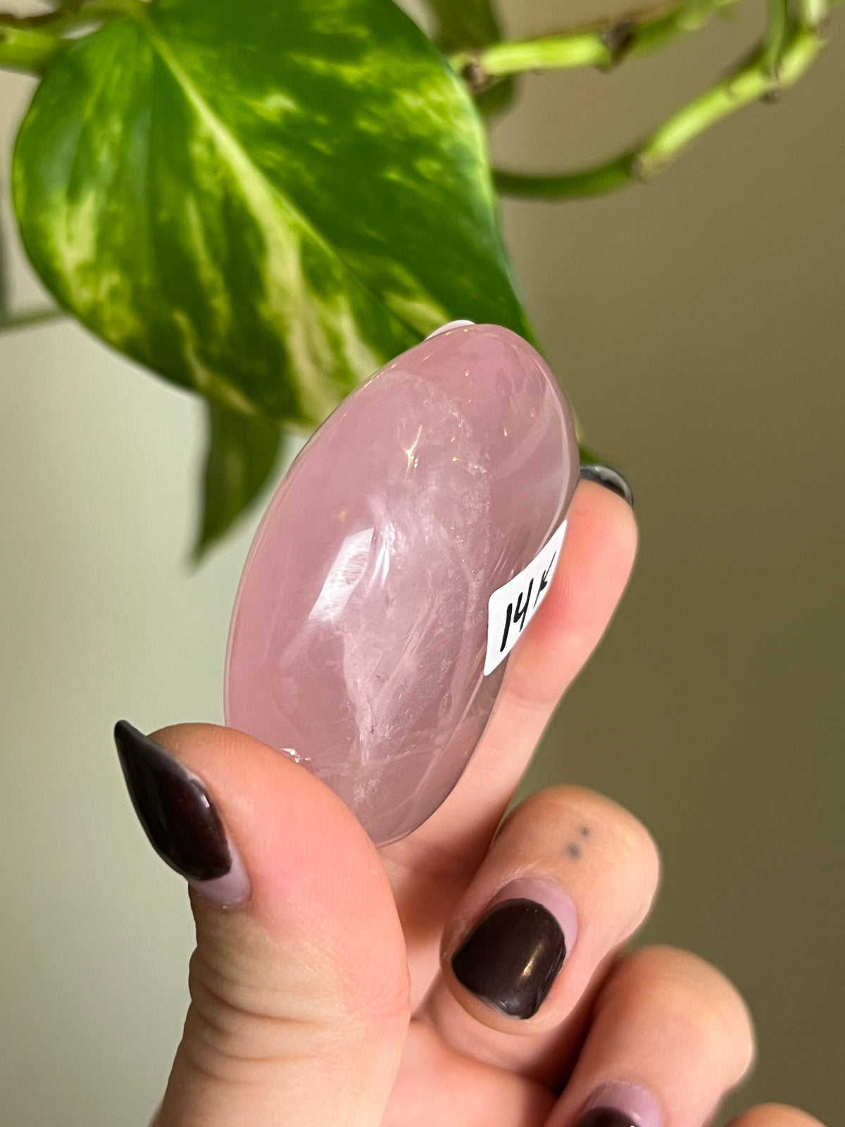Rose Quartz Palm Stone - 8