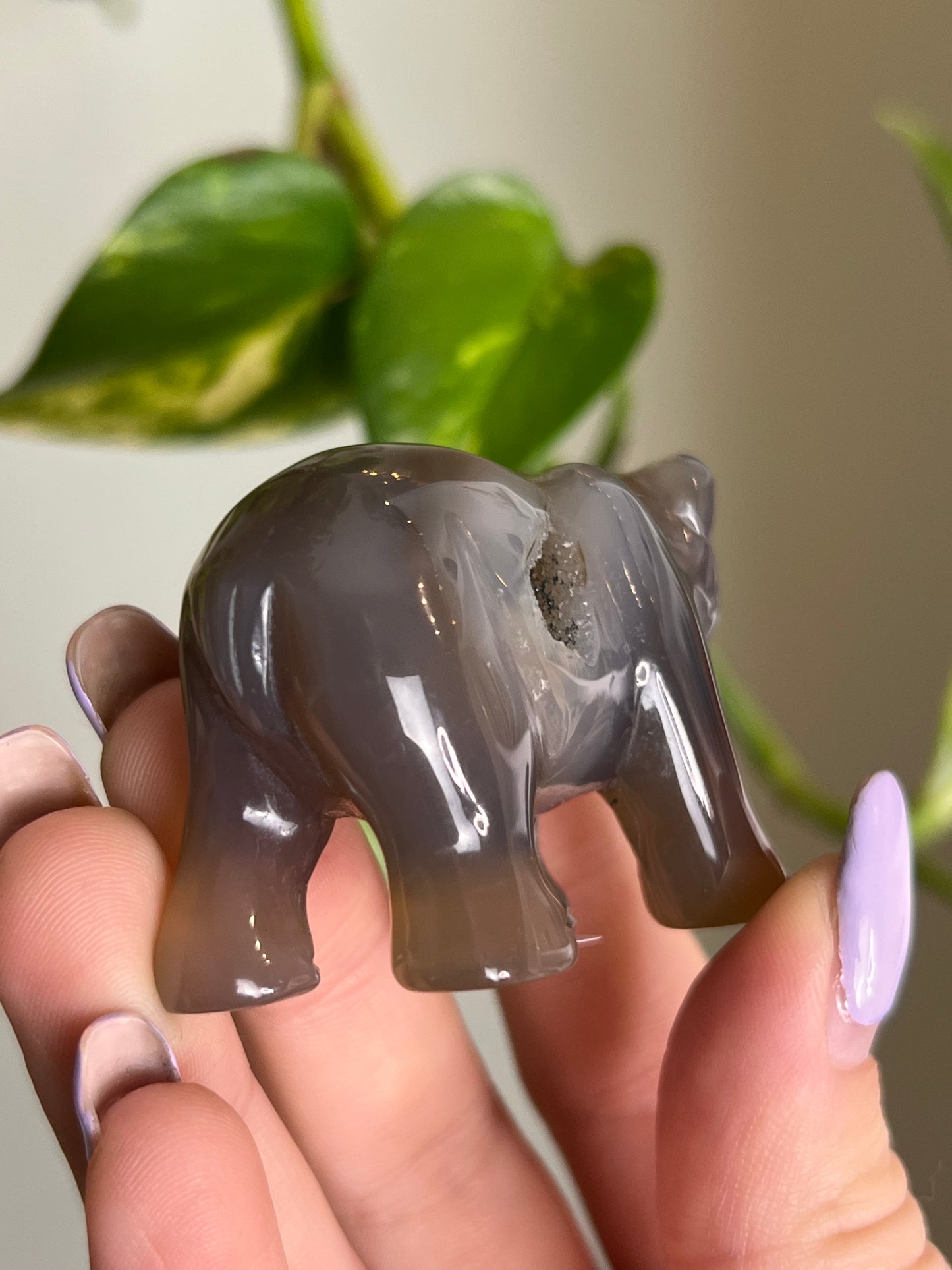 Druzy Agate Bear - A