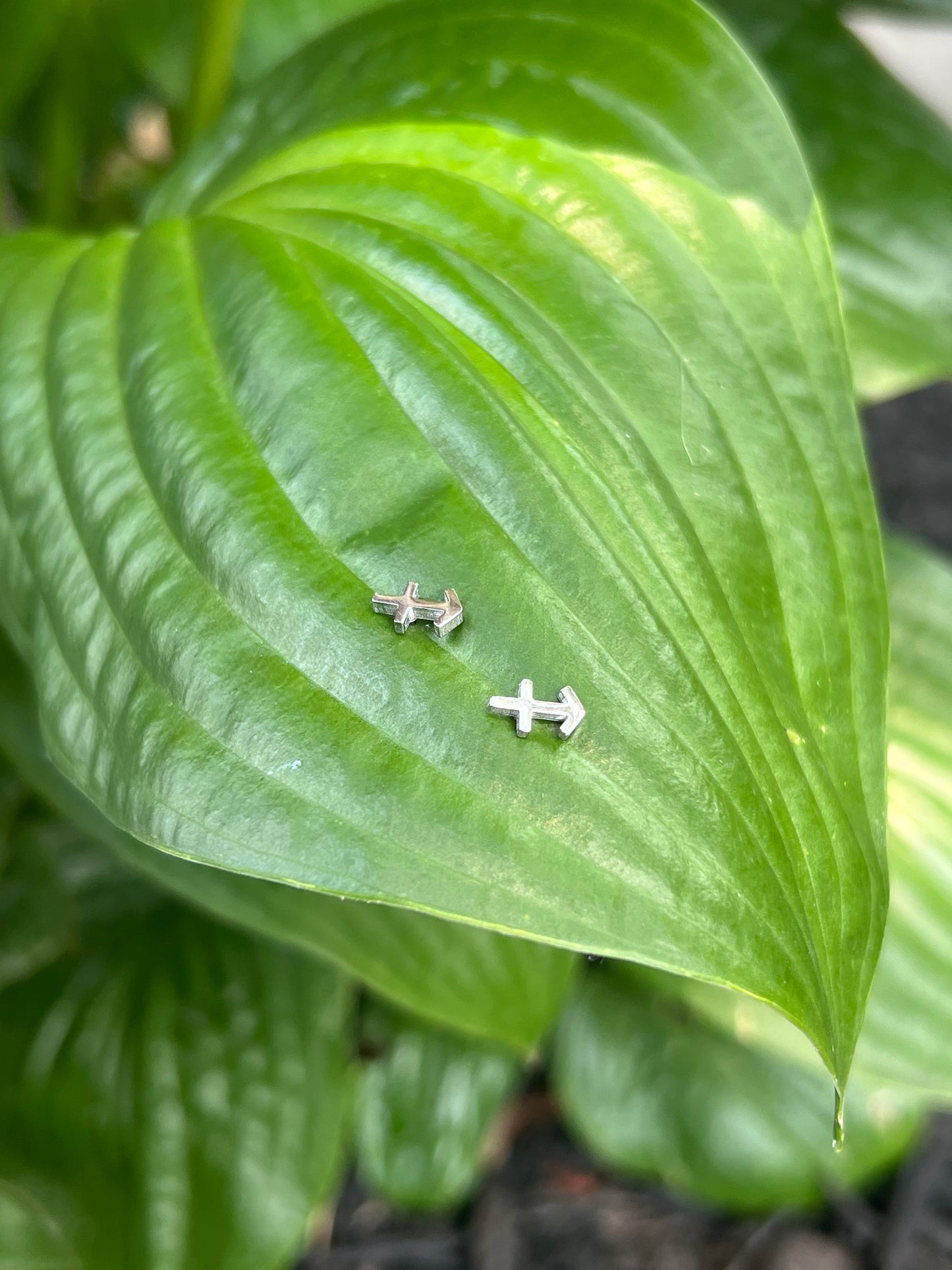 Sagittarius Silver Zodiac Sign Studs ♐️