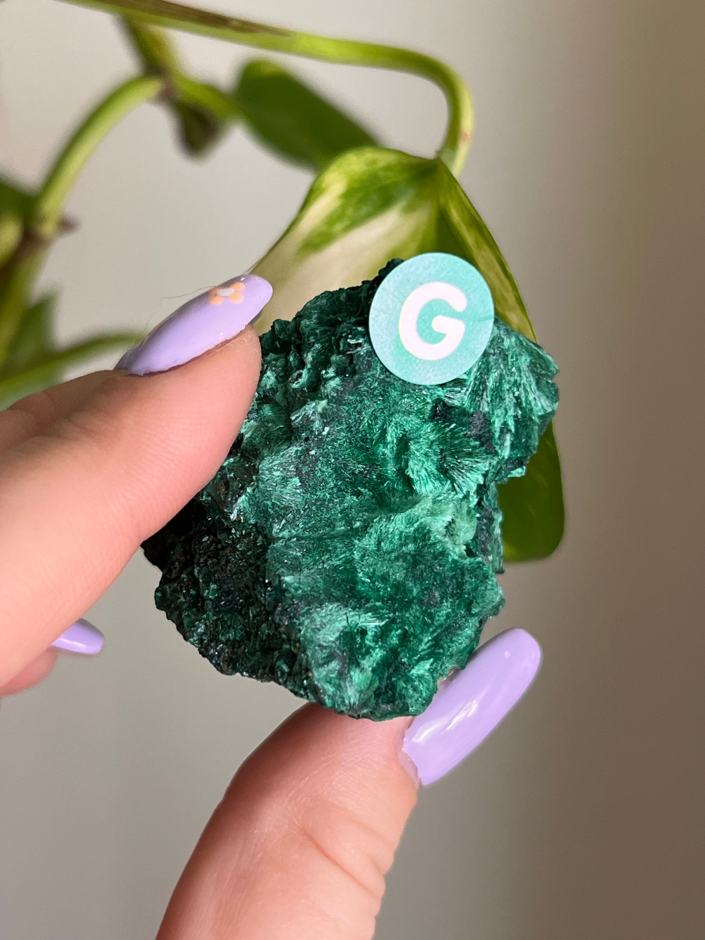 Fibrous Malachite - G