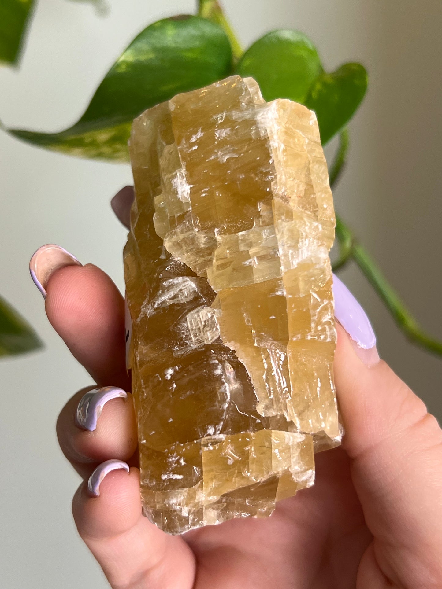 Honey Calcite Raw