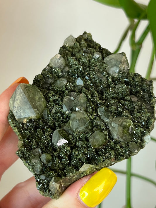 Forest Epidote Quartz Cluster - Large