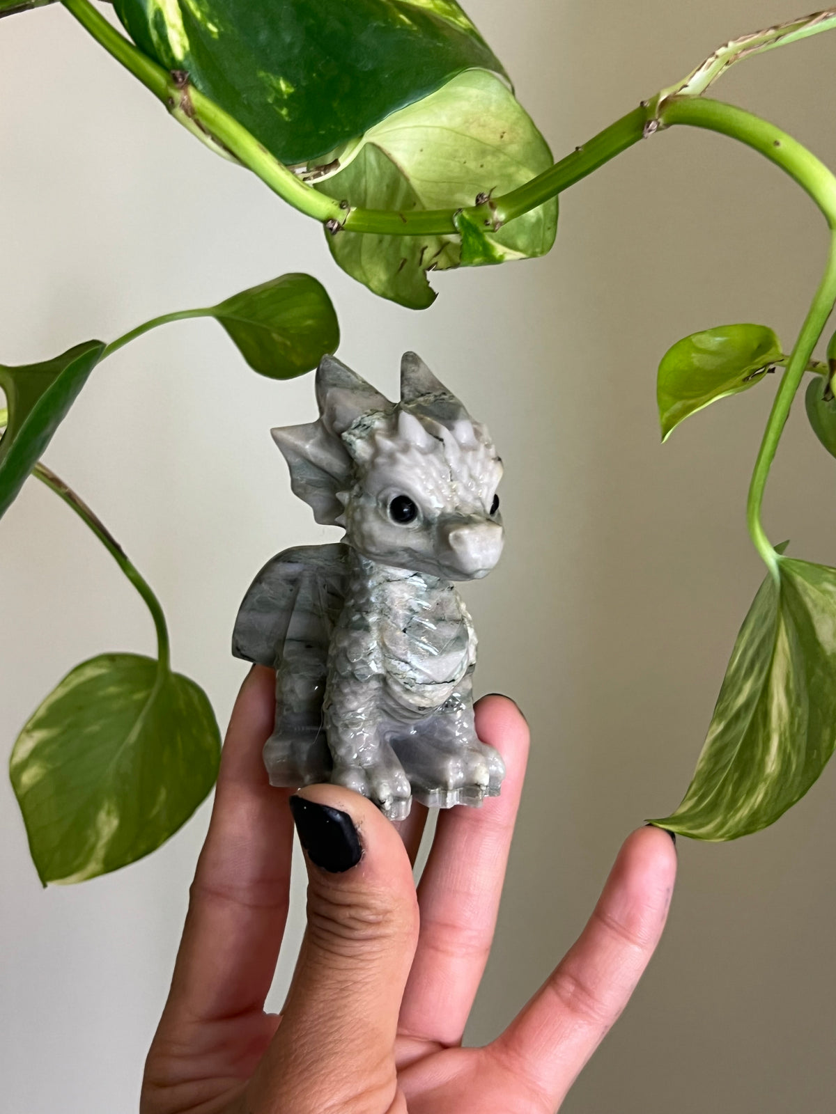 Peace Jade Dragon