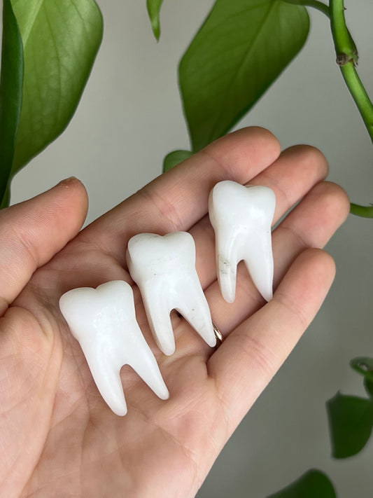 White Jade Tooth