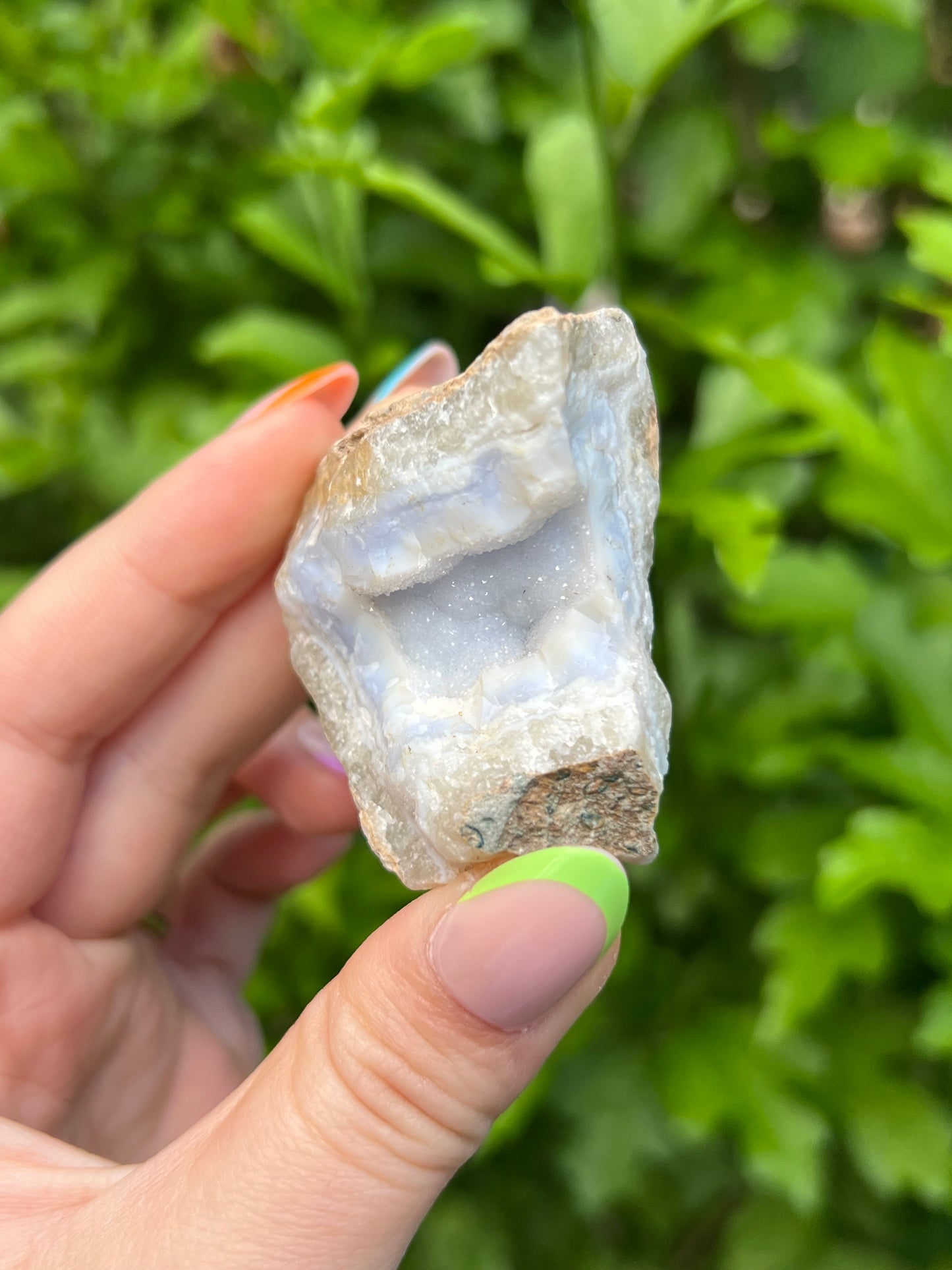 Druzy Blue Lace Agate Geode - B