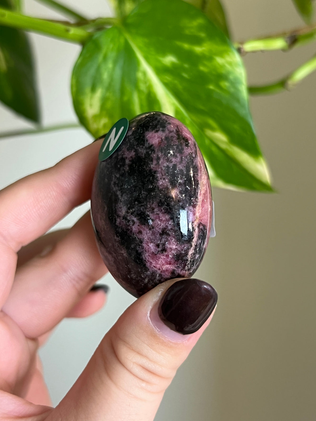 Madagascar Rhodonite Palm Stone - N
