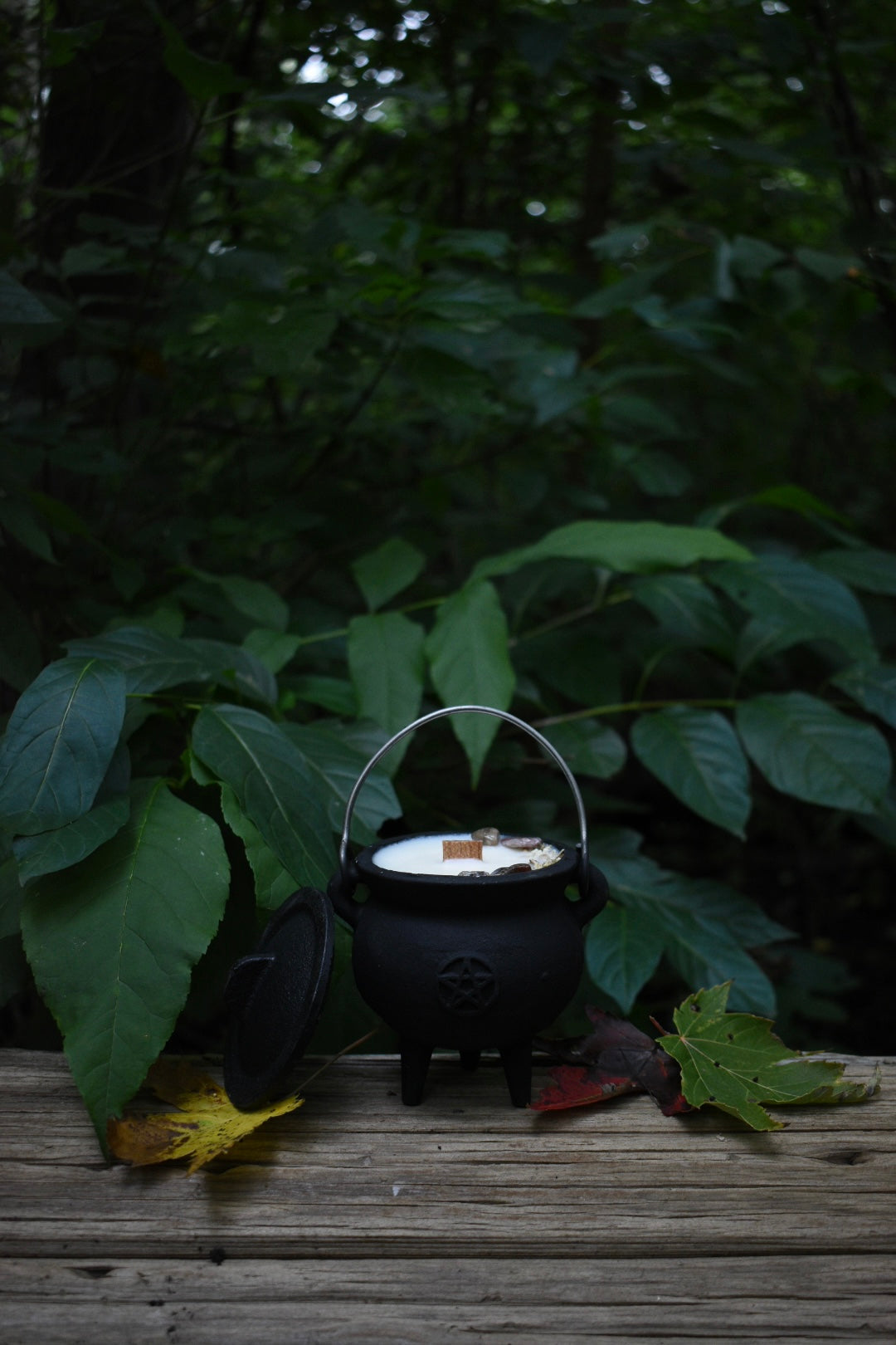 Autumnal Equinox Cauldron Candle | Green Tea + Warm Cedar 🍂