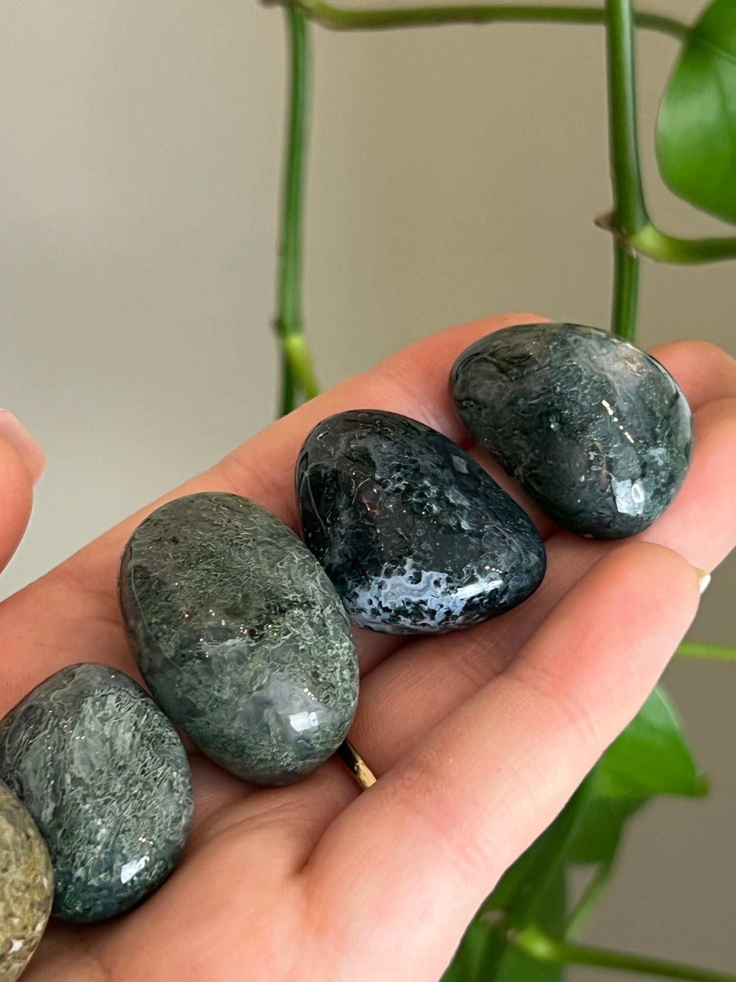 Moss Agate Tumbled