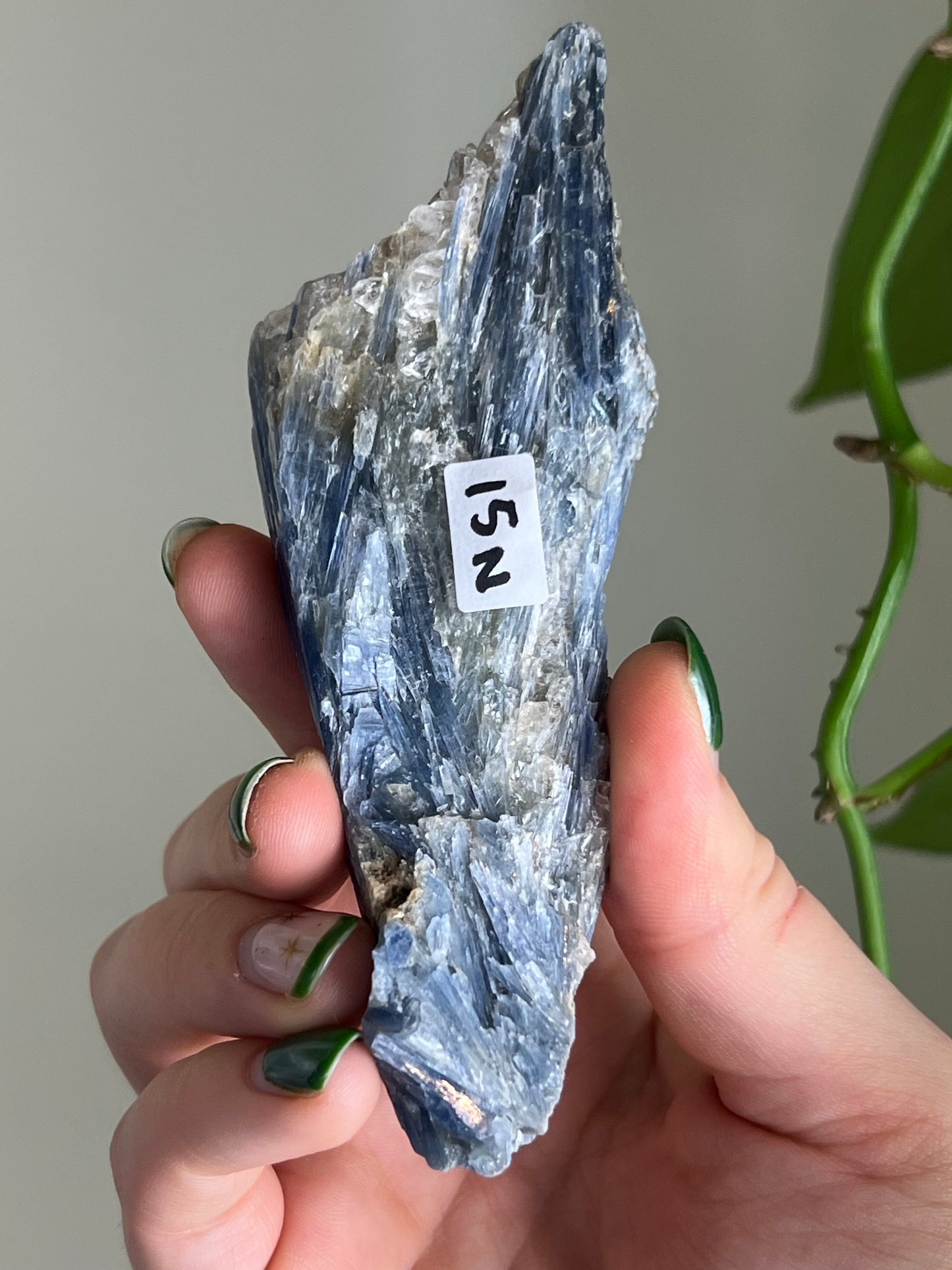 Blue Kyanite in Quartz N