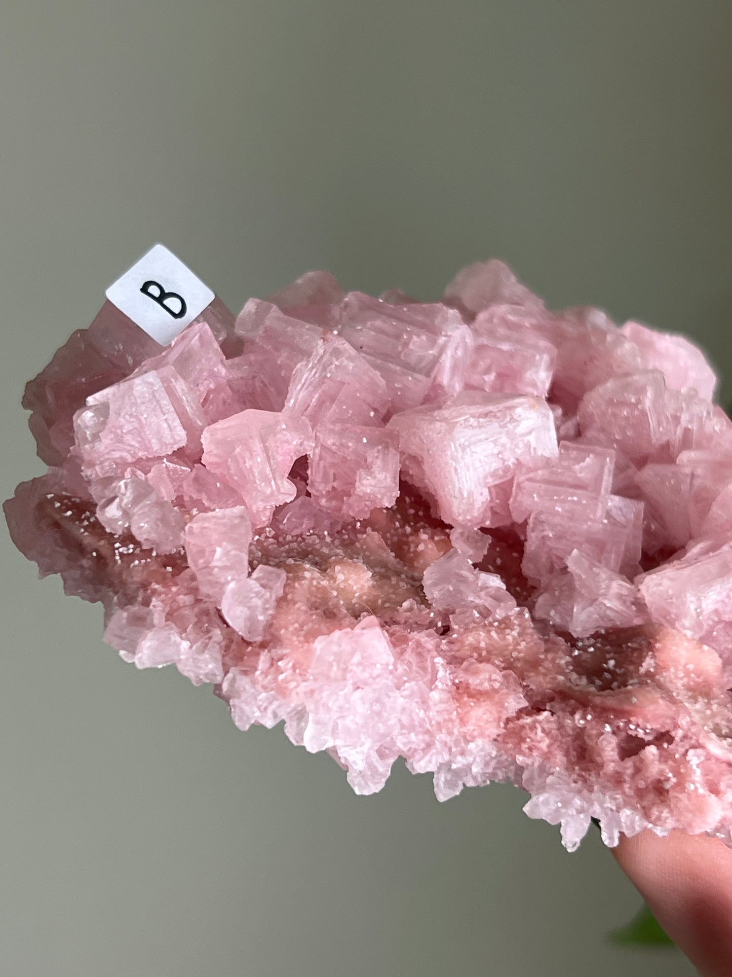 Pink Halite Specimen - XLarge - B