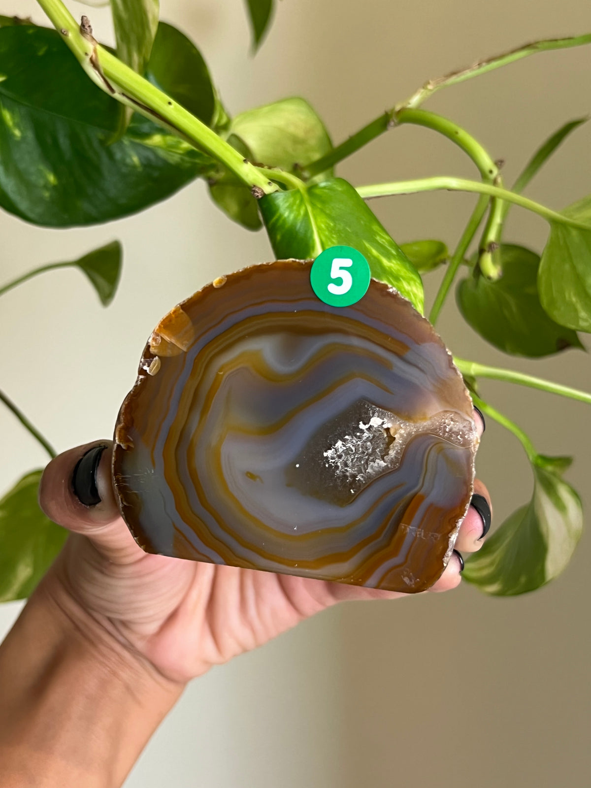 Brown + Blue Druzy Agate Freeform - 5