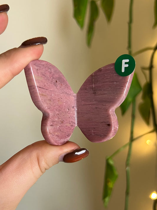 Pink Petrified Wood 3D Butterfly - F
