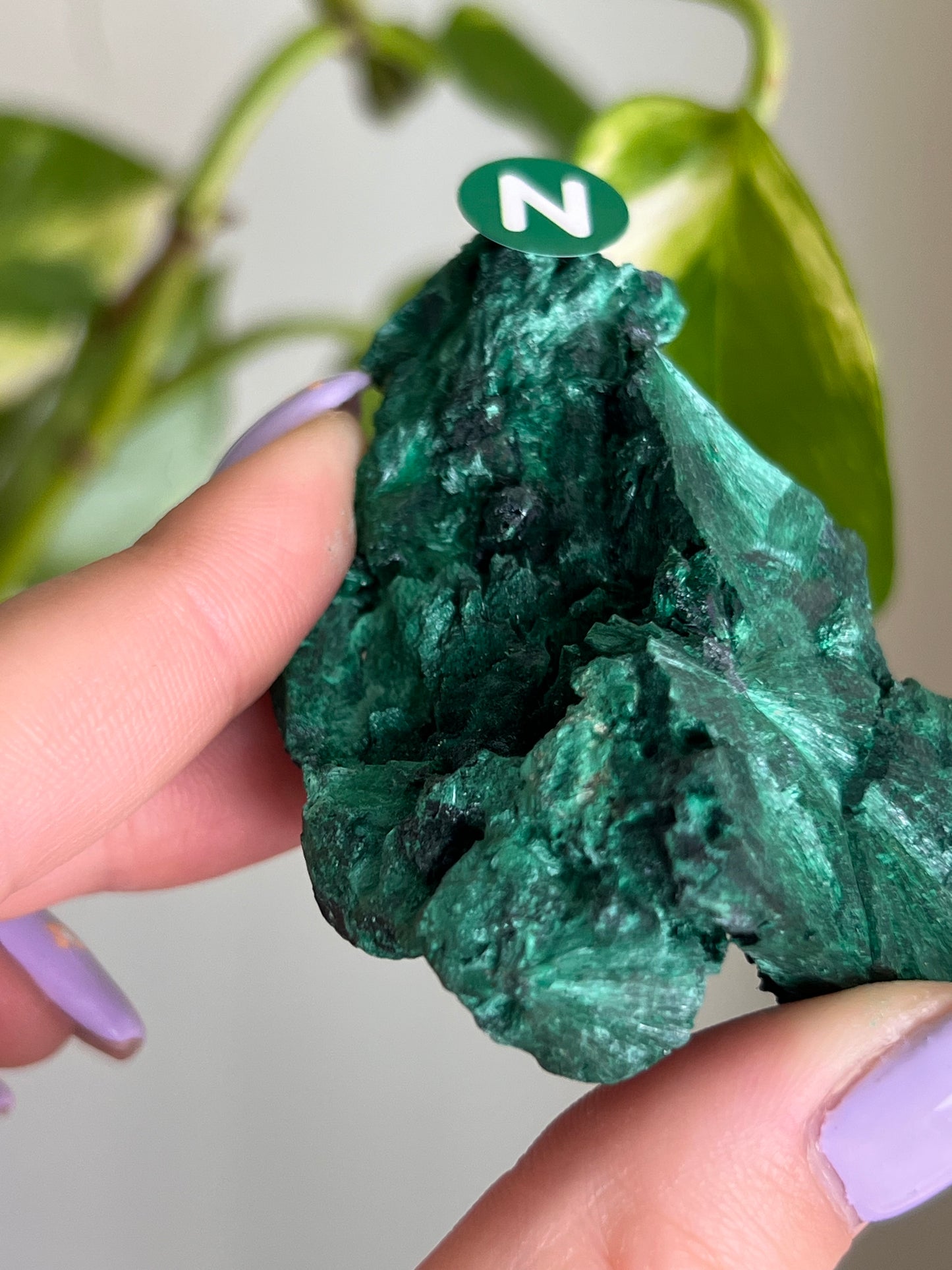 Fibrous Malachite - N