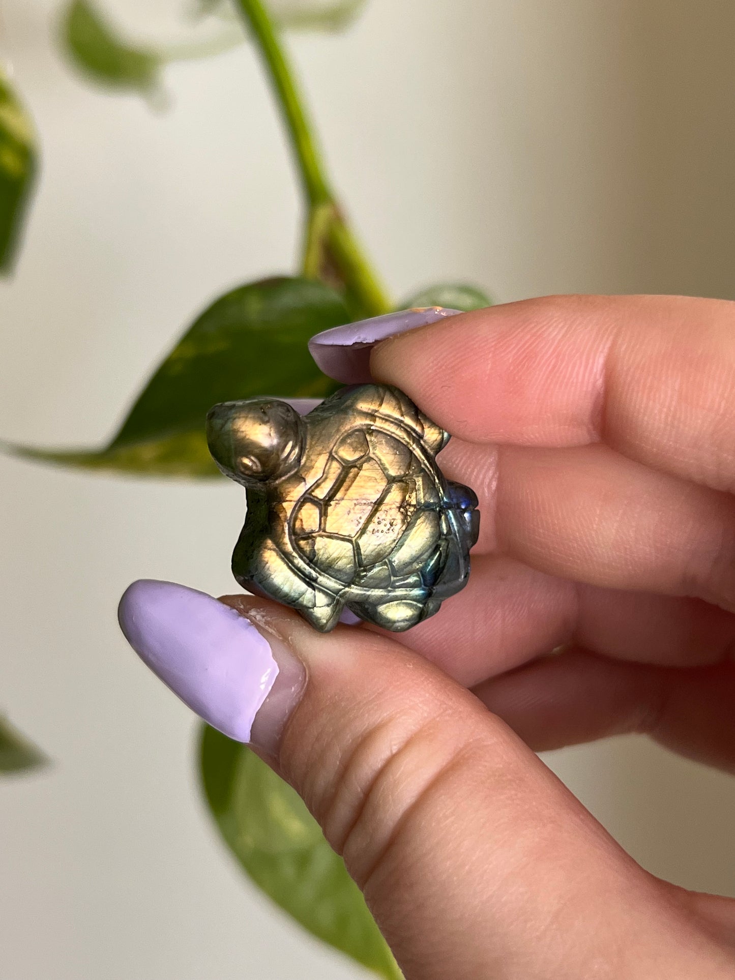 Flashy Labradorite Sea Turtle