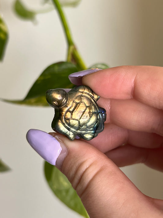 Flashy Labradorite Sea Turtle