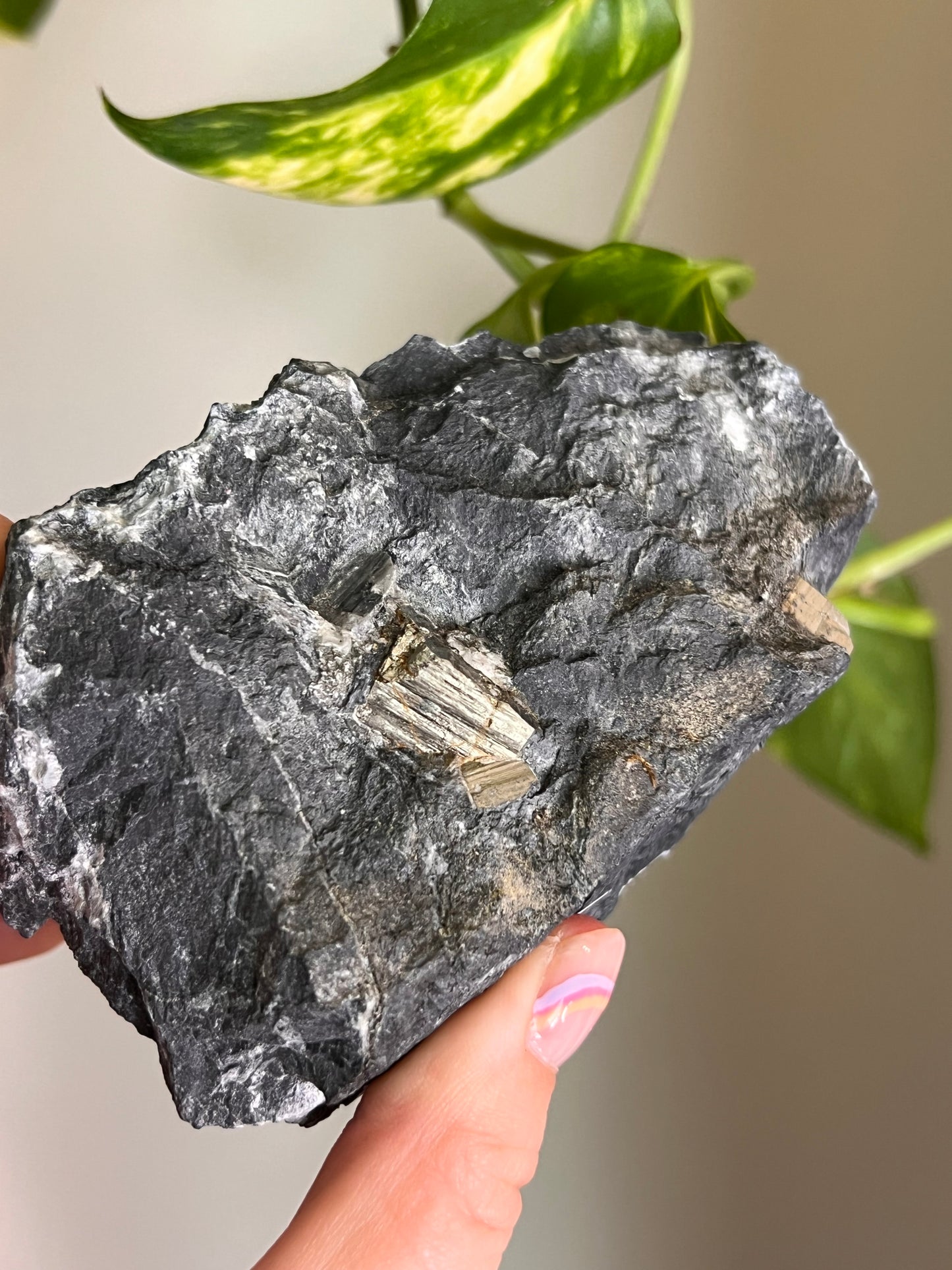 Pyrite on Matrix - Ontario - Large