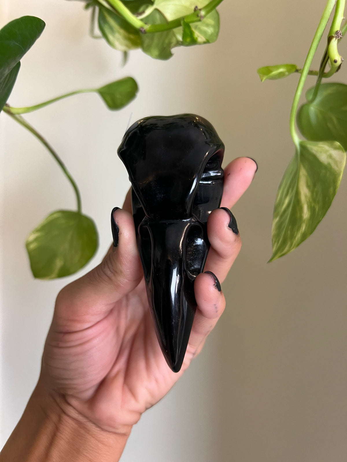 Black Obsidian Raven - Y