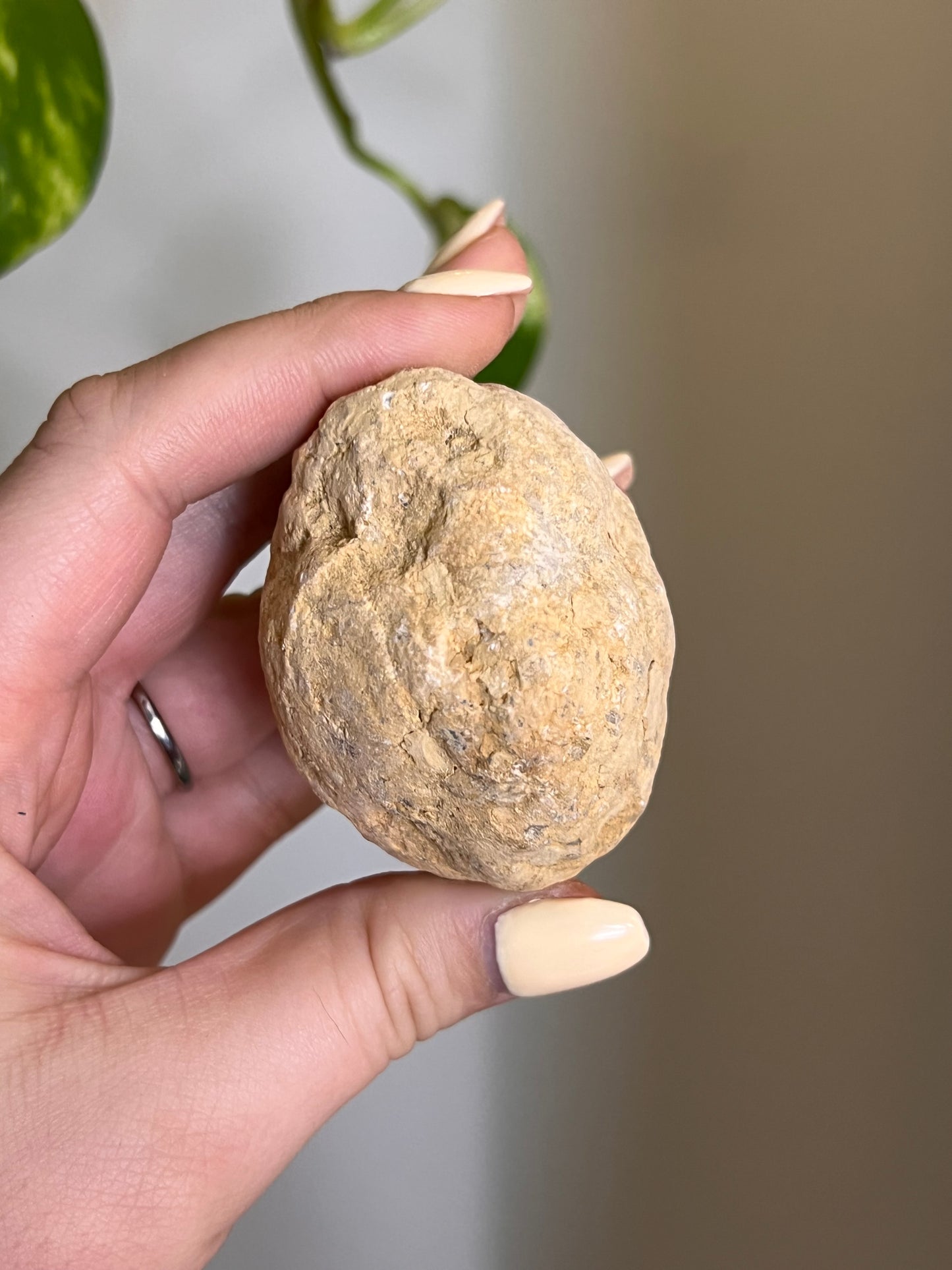 Break Your Own Quartz Geode - Medium