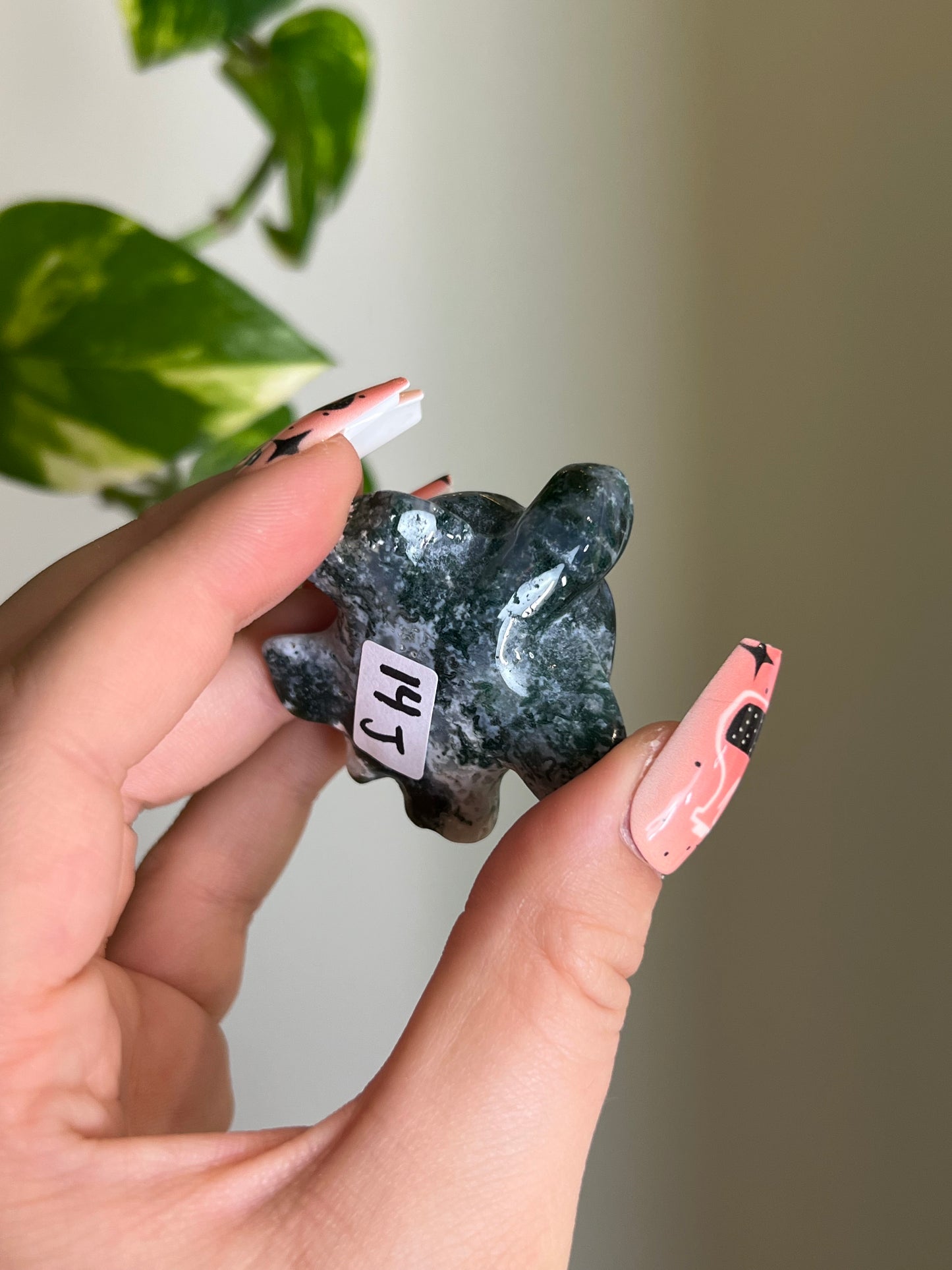 Moss Agate Sea Turtle - J 🐢