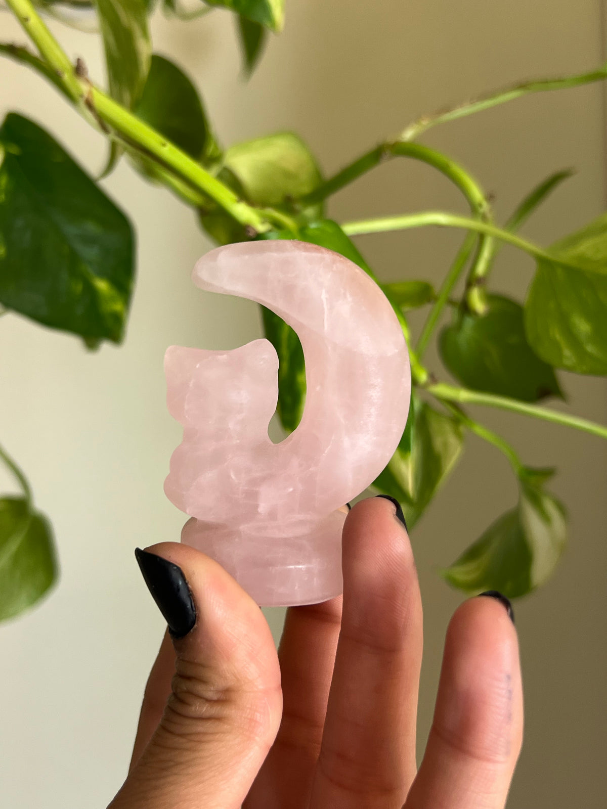 Rose Quartz Cat Moon