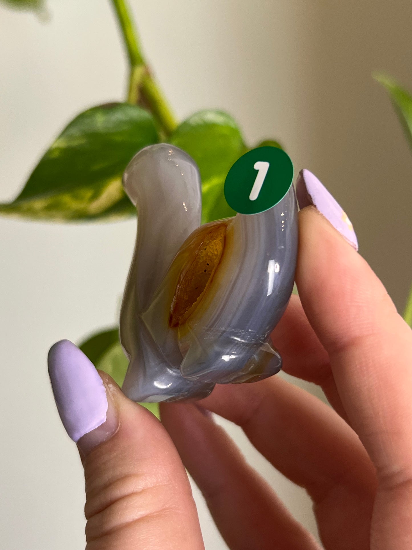 Druzy Agate Dinosaur - 1
