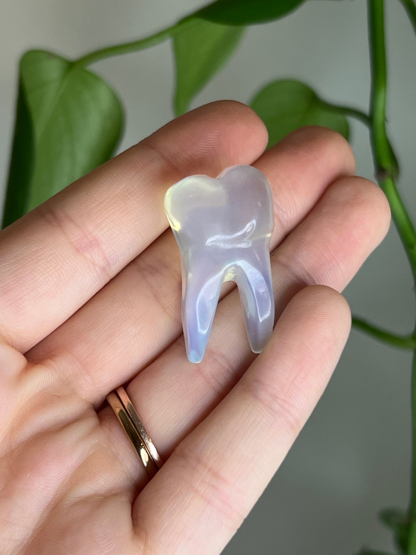 Opalite Glass Tooth