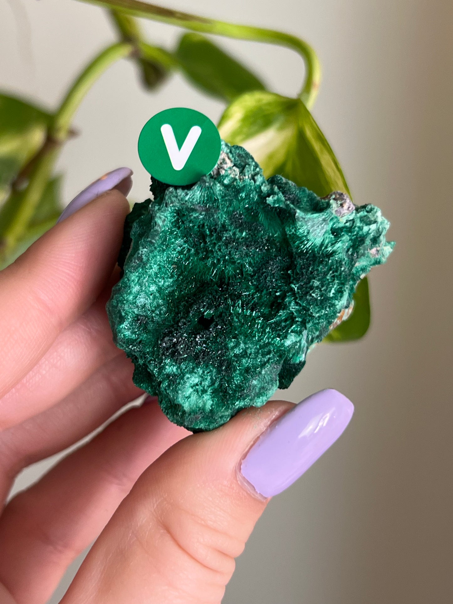 Fibrous Malachite - V