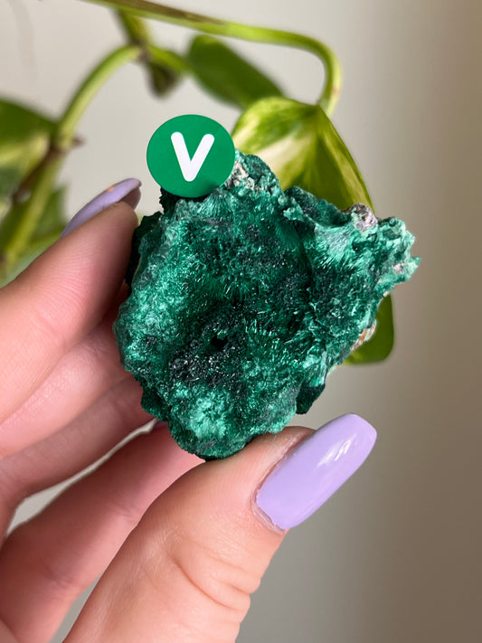 Fibrous Malachite - V