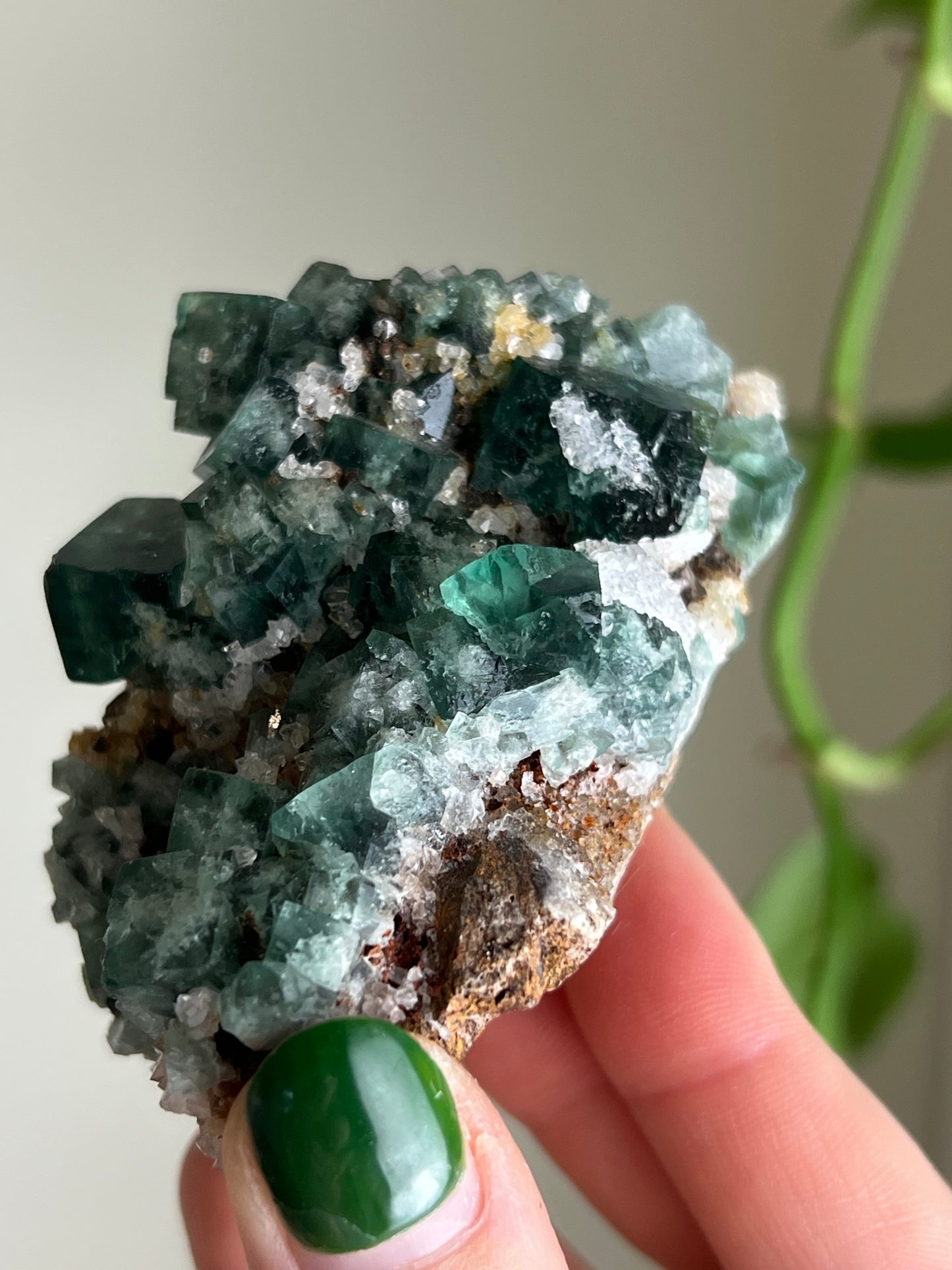 Cubic Sugar Druzy Fluorite - England