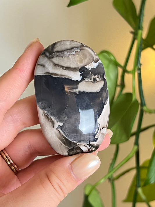 Volcano Agate Palm Stone - Large