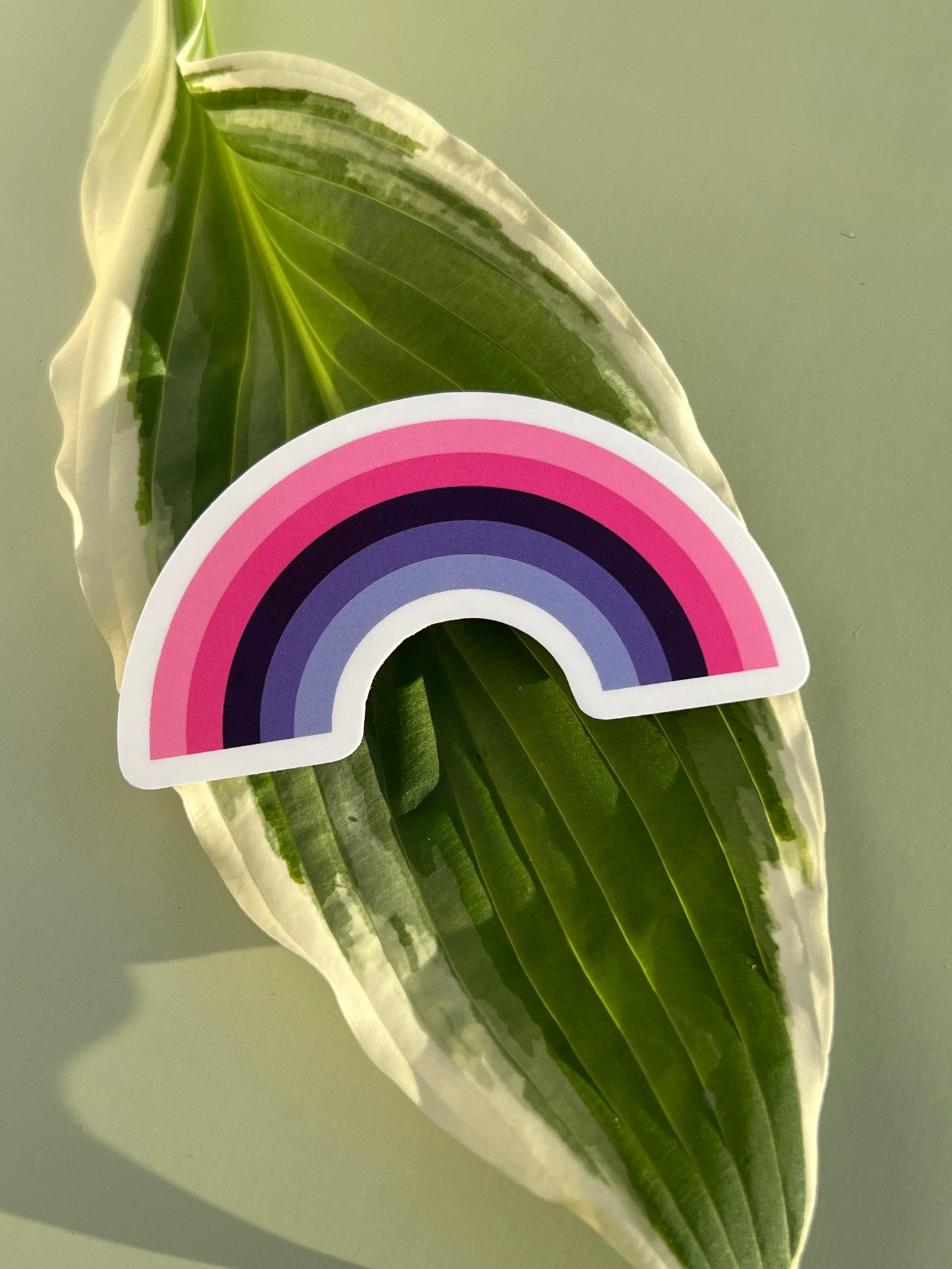 Omnisexual Rainbow Sticker