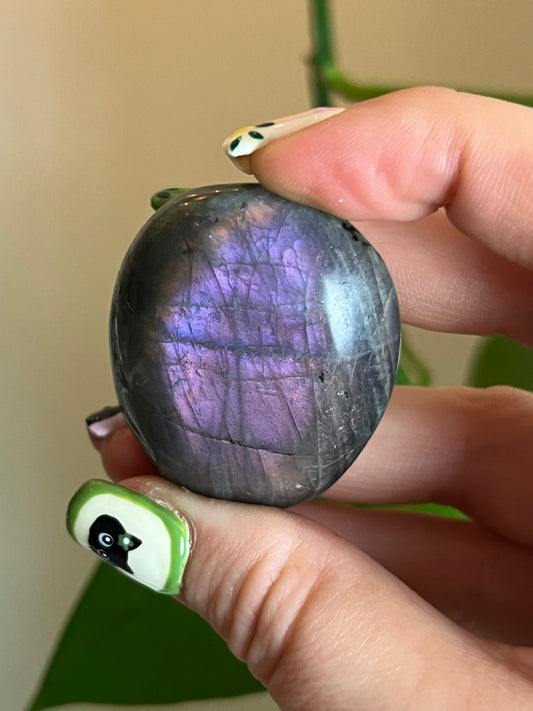 Sunset/ Purple Labradorite Palm - ZY
