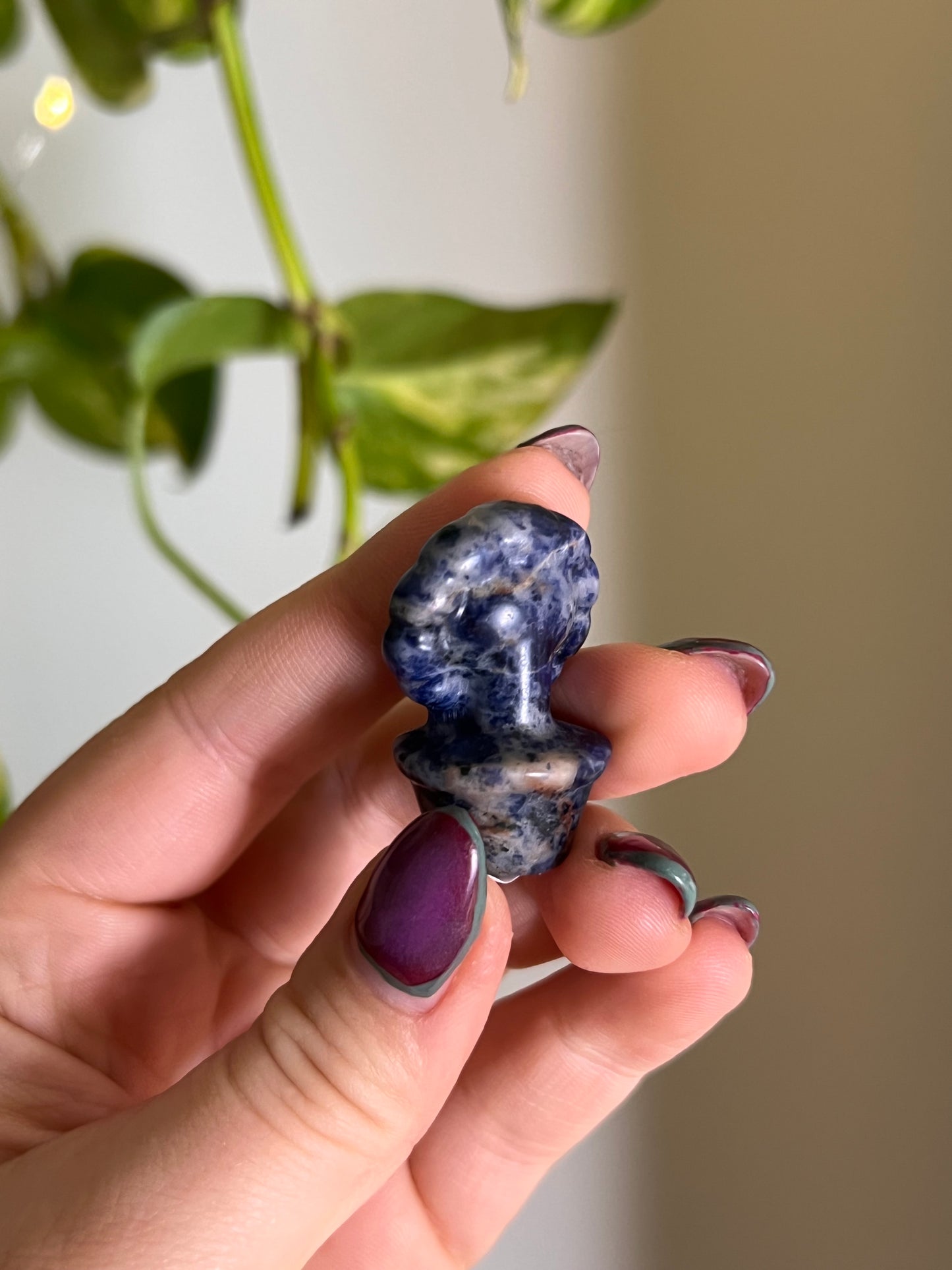 Sodalite Potted Sunflower