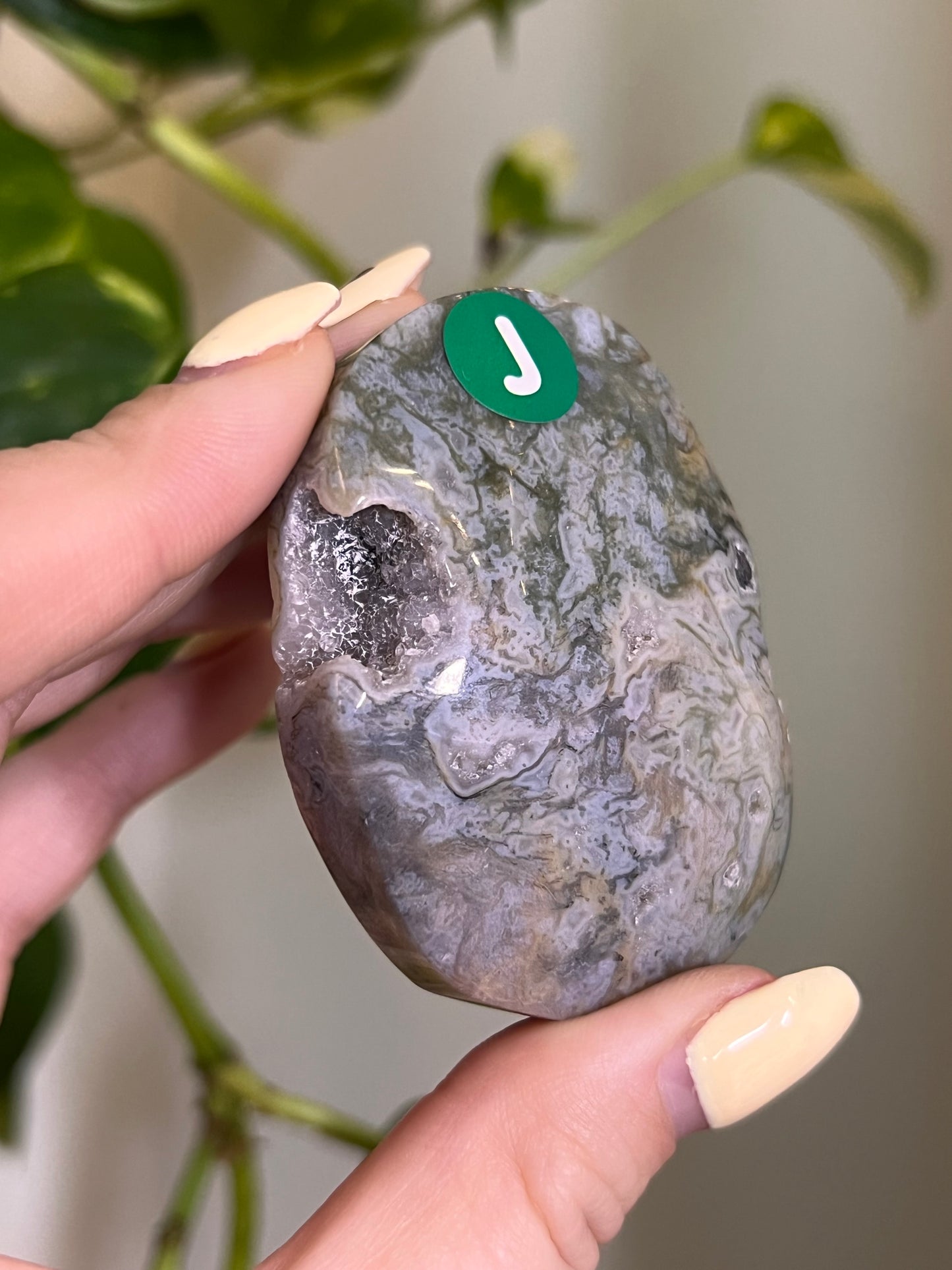 Rainbow Druzy Moss Agate Palm - J