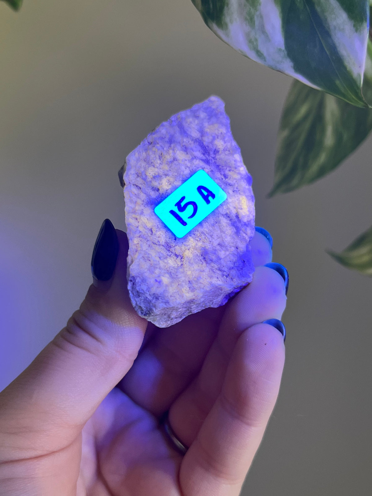 UV Reactive Meionite Scapolite Specimen - A