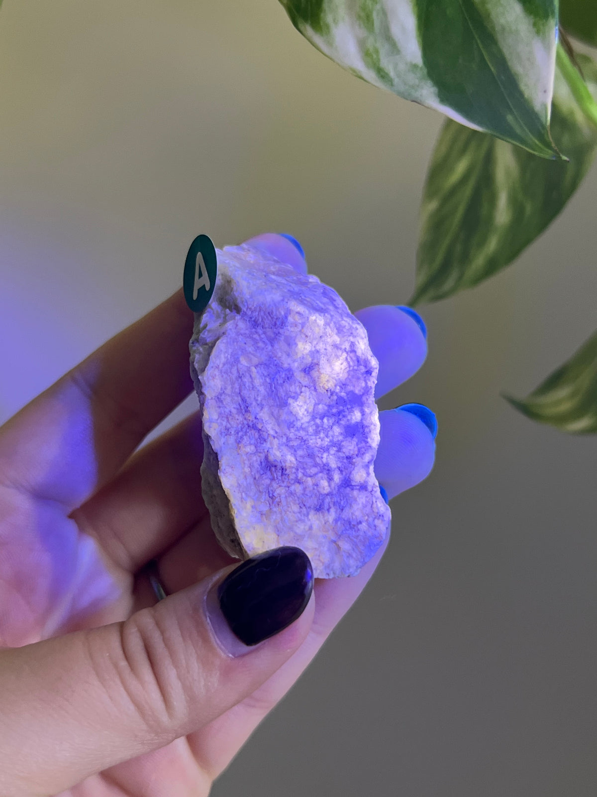 UV Reactive Meionite Scapolite Specimen - A