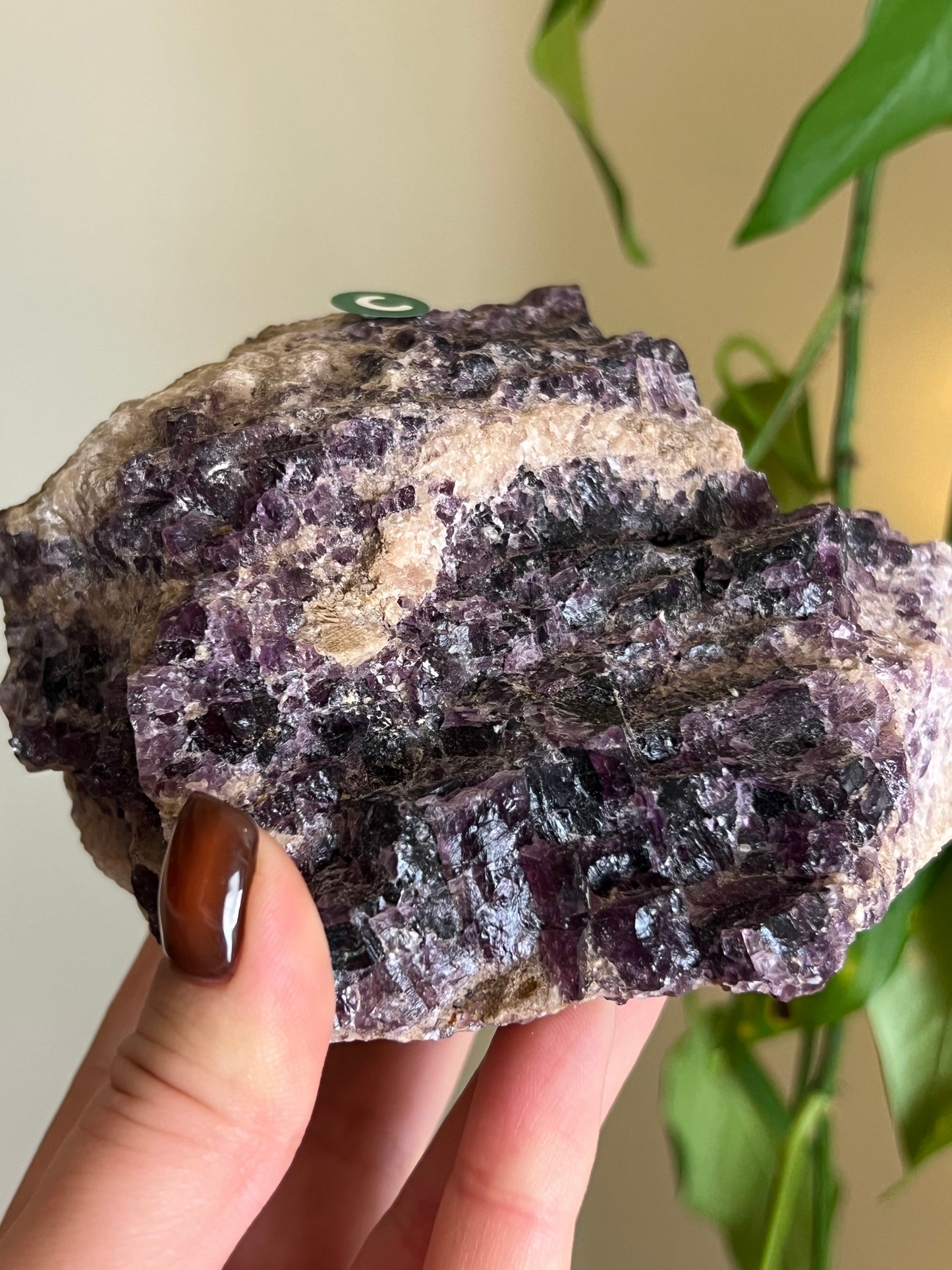 Raw Purple Fluorite From Ontario - C