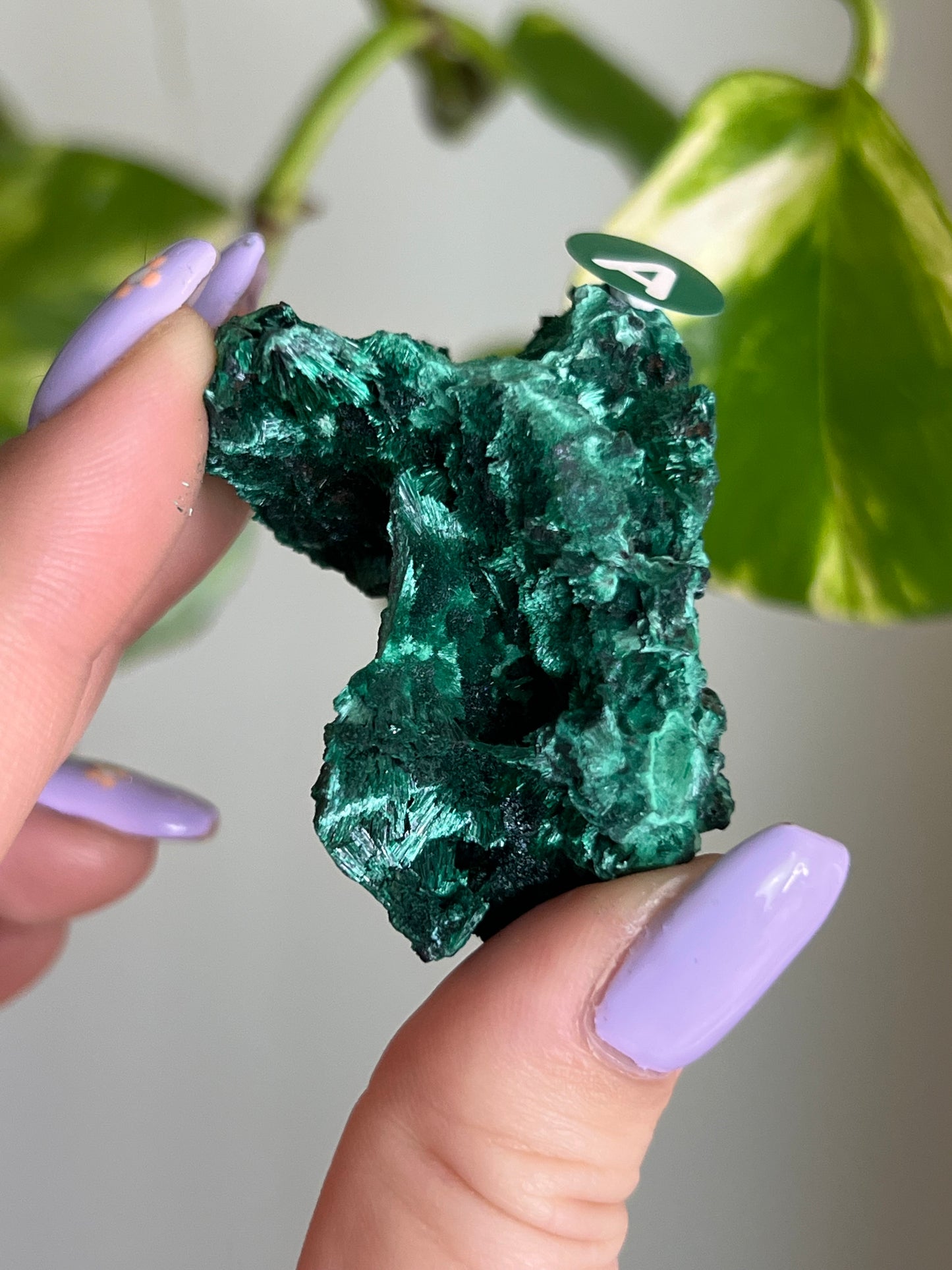 Fibrous Malachite - A