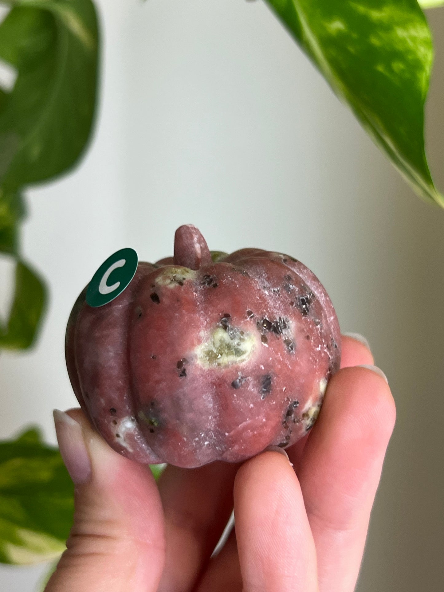 Plum Blossom Tourmaline x Serpentine Pumpkin - C
