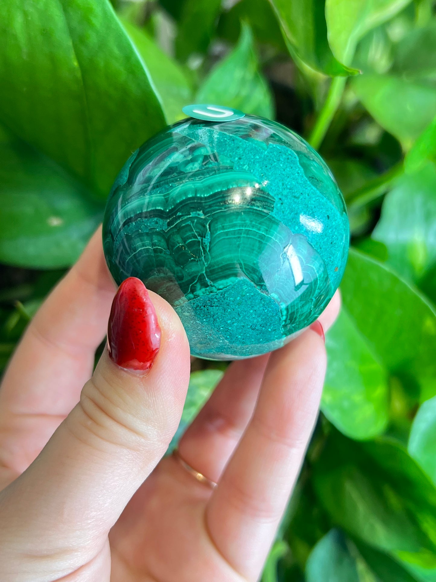 Malachite x Chrysocolla Sphere - U