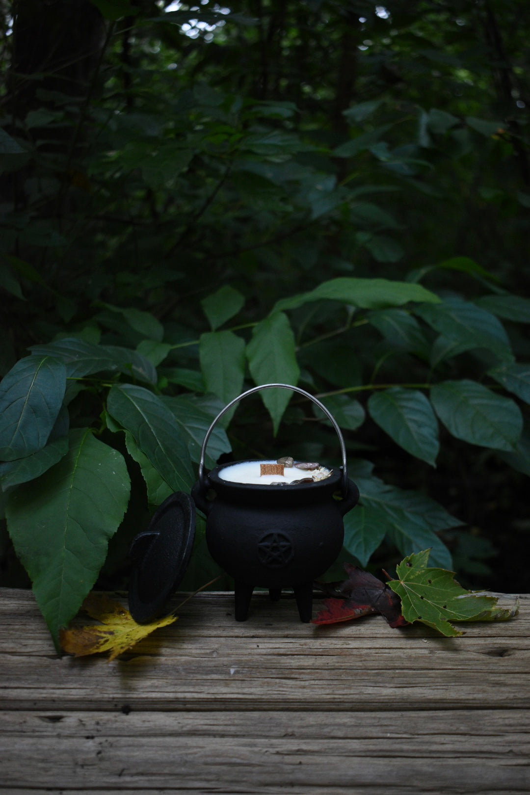 Autumnal Equinox Cauldron Candle | Green Tea + Warm Cedar 🍂